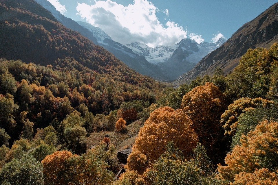 Северная Осетия. Треккинг в Дигорском ущелье (26/36)