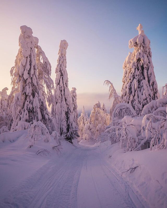 Урал. Путешествие на север Пермского края на снегоходах (3/9)