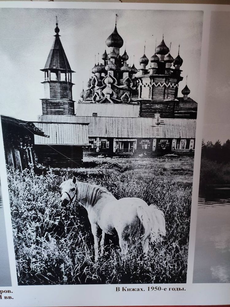 До Кижей и вокруг Ладоги (25/43)