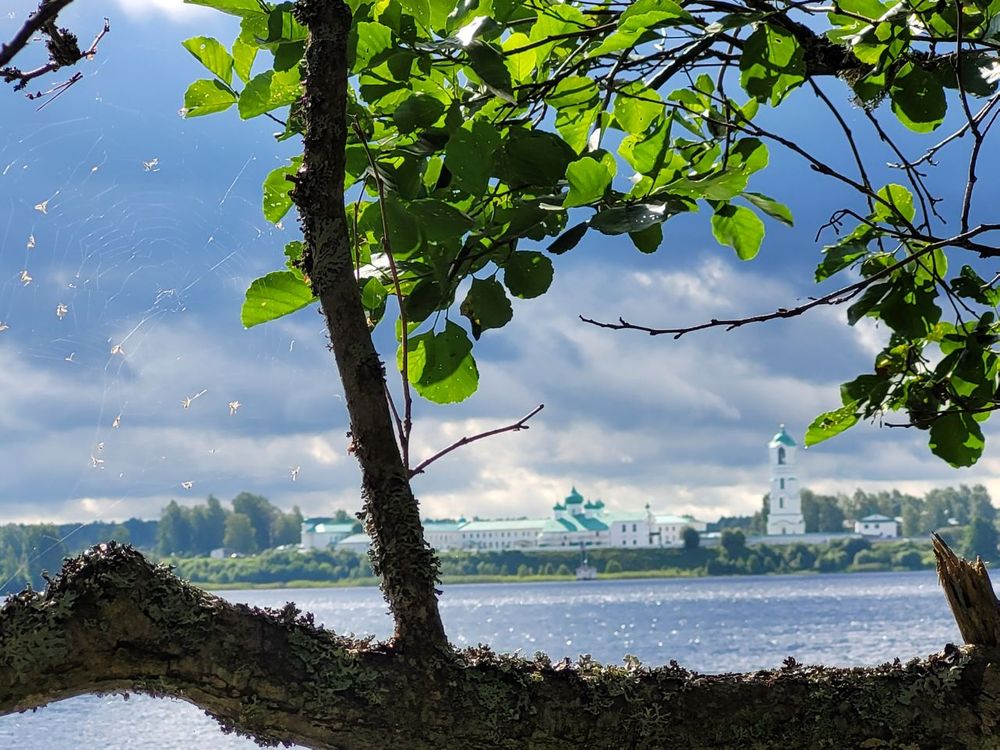 До Кижей и вокруг Ладоги (36/43)