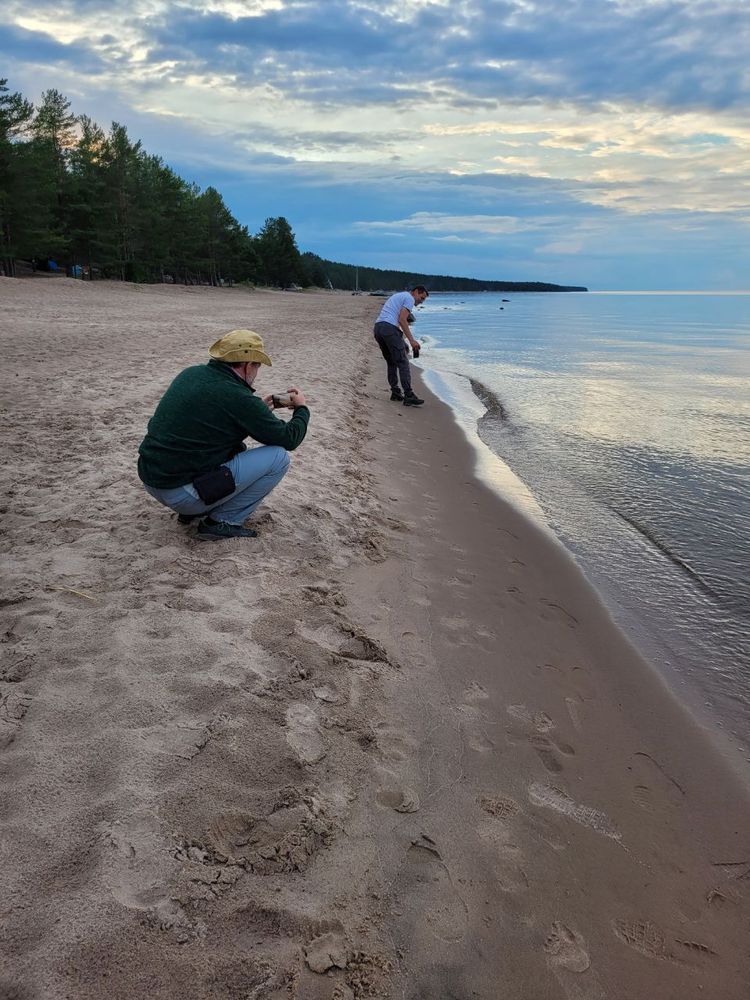 До Кижей и вокруг Ладоги (11/43)