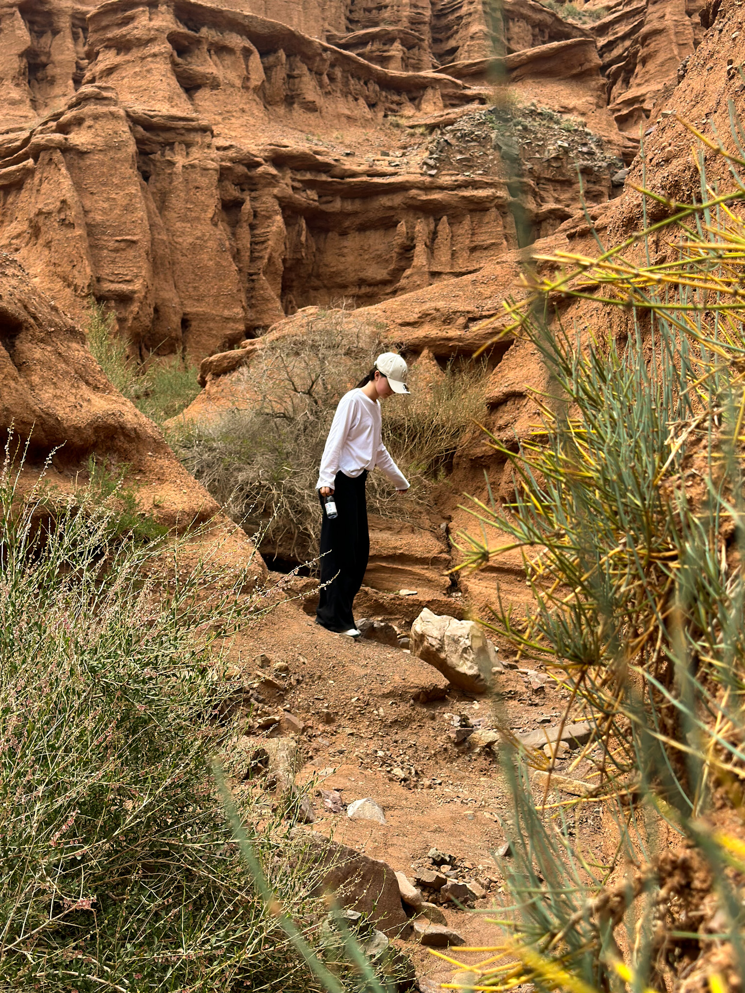 Маки Кыргызстана! Красивый тур весны. (45/64)