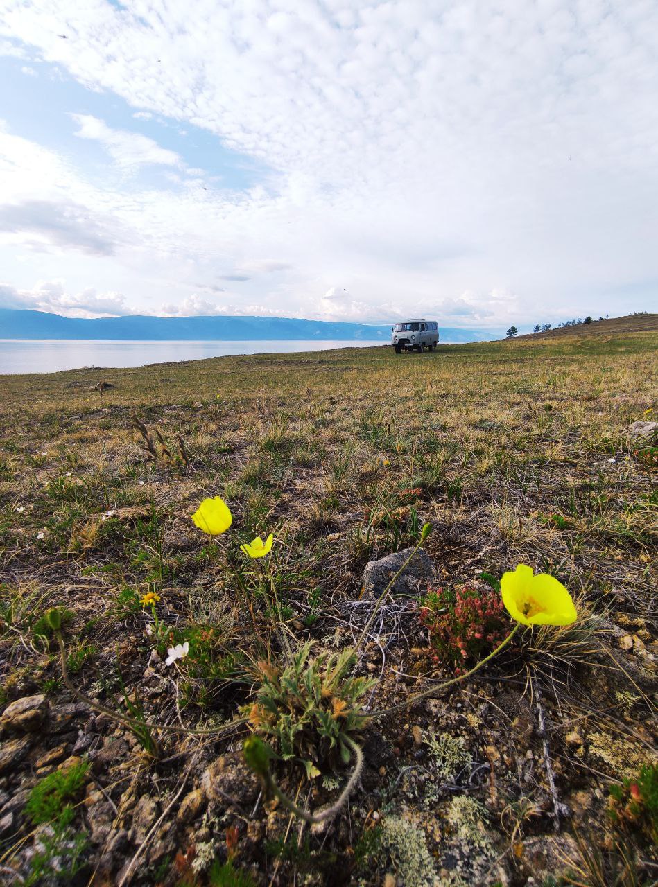 Зимний Ольхон. Актив-тур 3 дня в мини-группе. (8/36)
