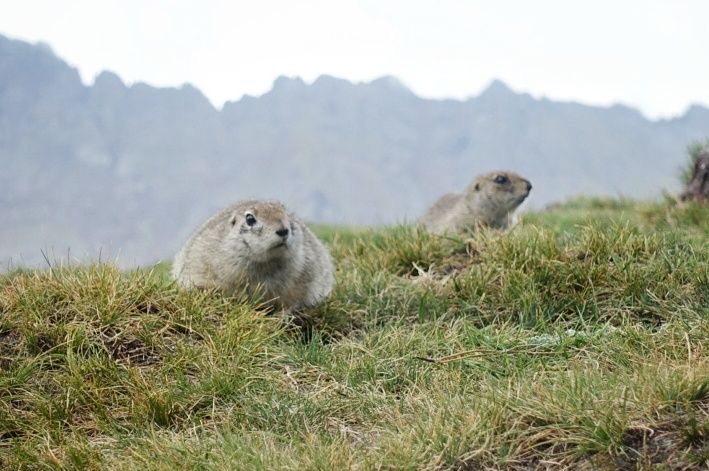 Восхождение на Эльбрус с севера, 11 дней (15/24)