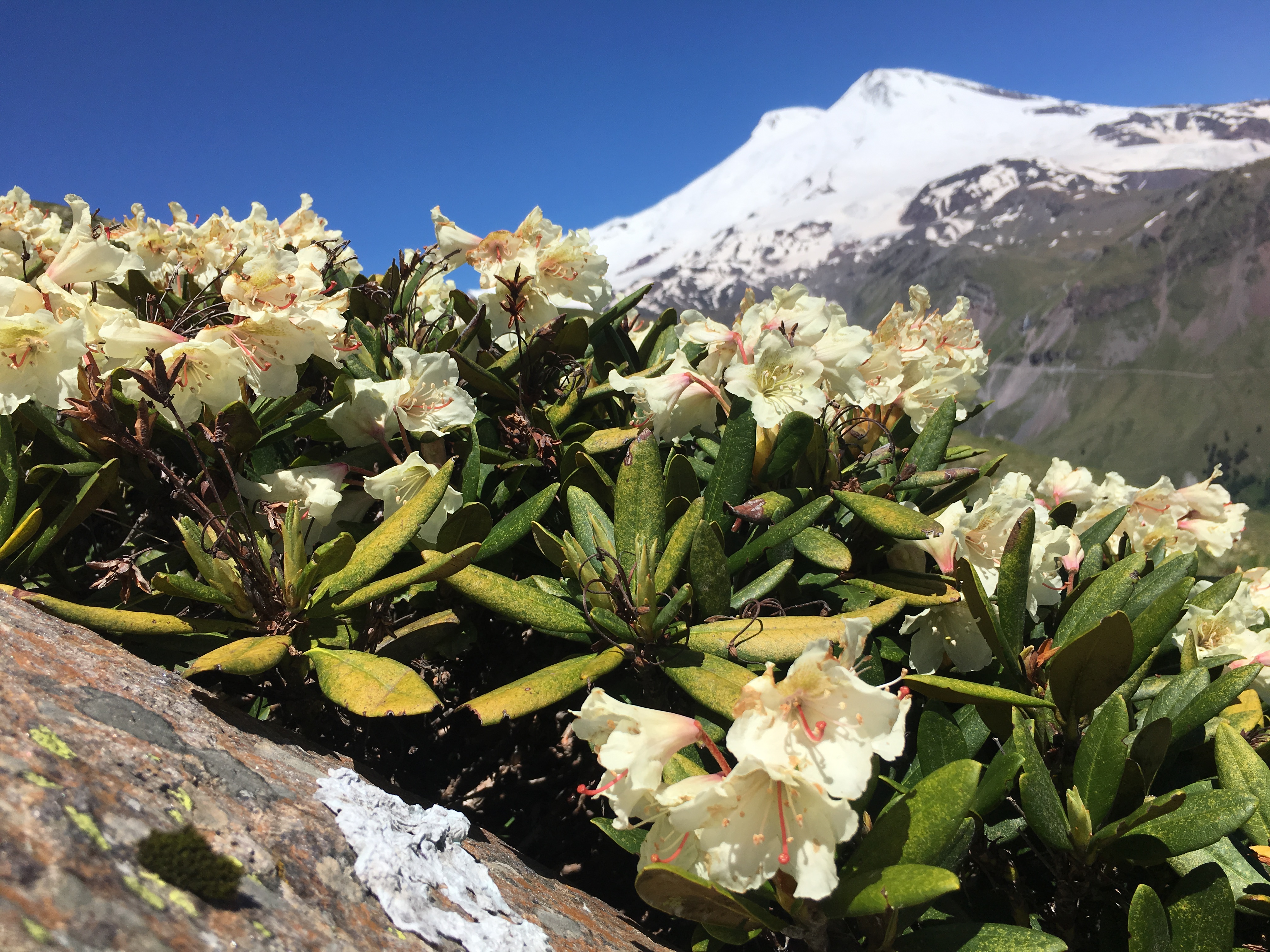 Восхождение на Эльбрус с севера, 11 дней (19/24)