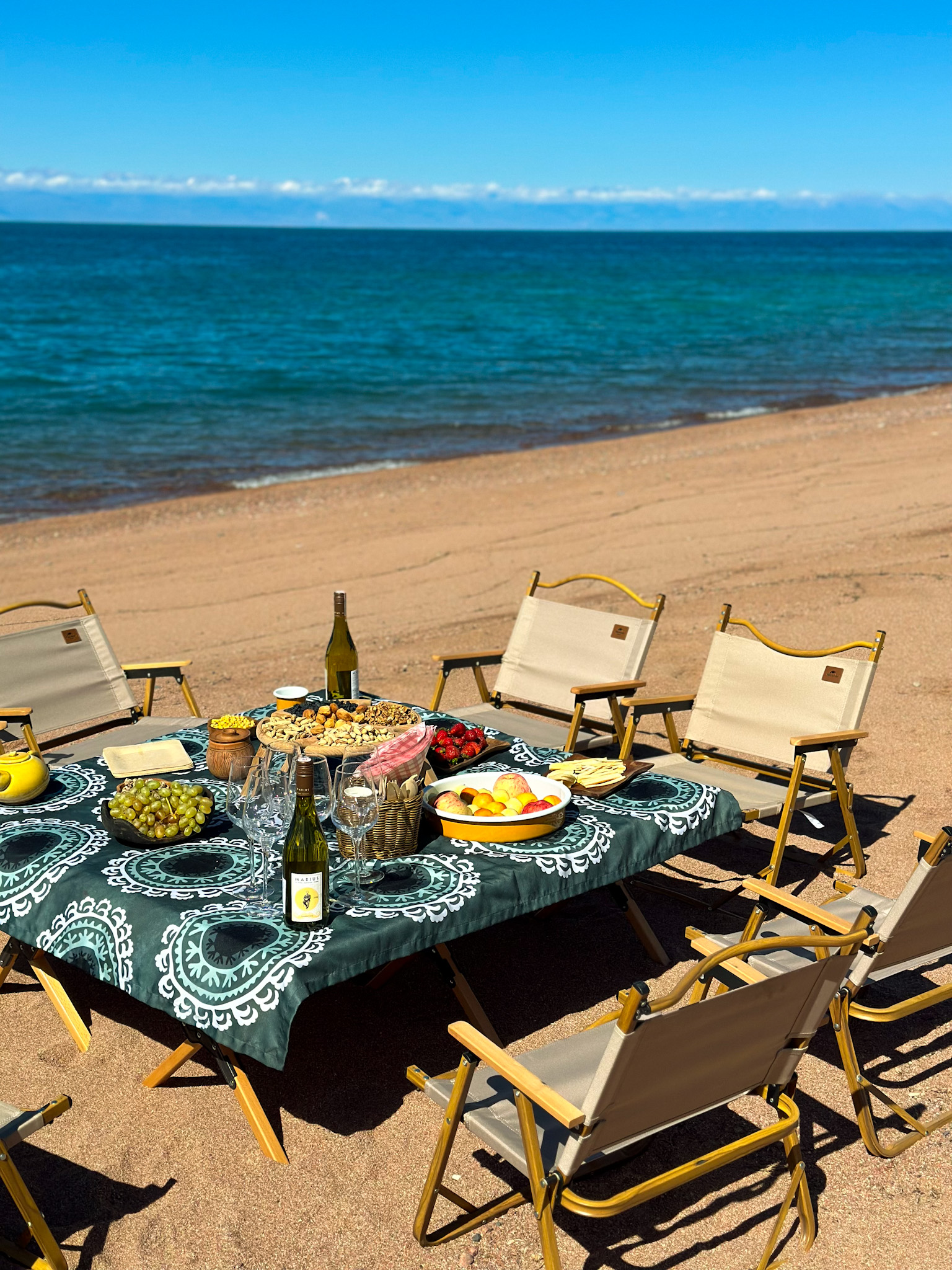 Маки Кыргызстана! Красивый тур весны. (47/64)