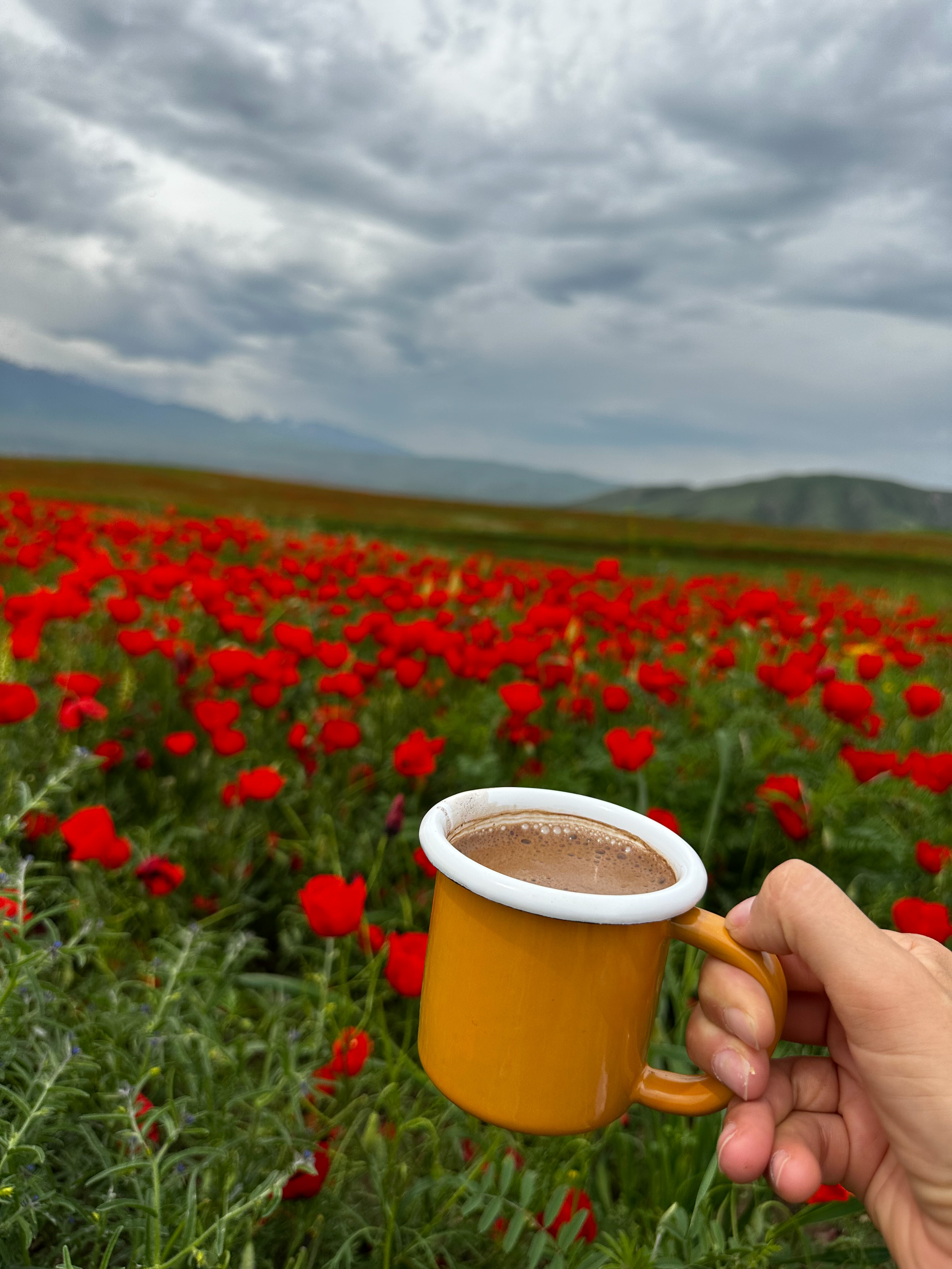 Маки Кыргызстана! Красивый тур весны. (51/64)