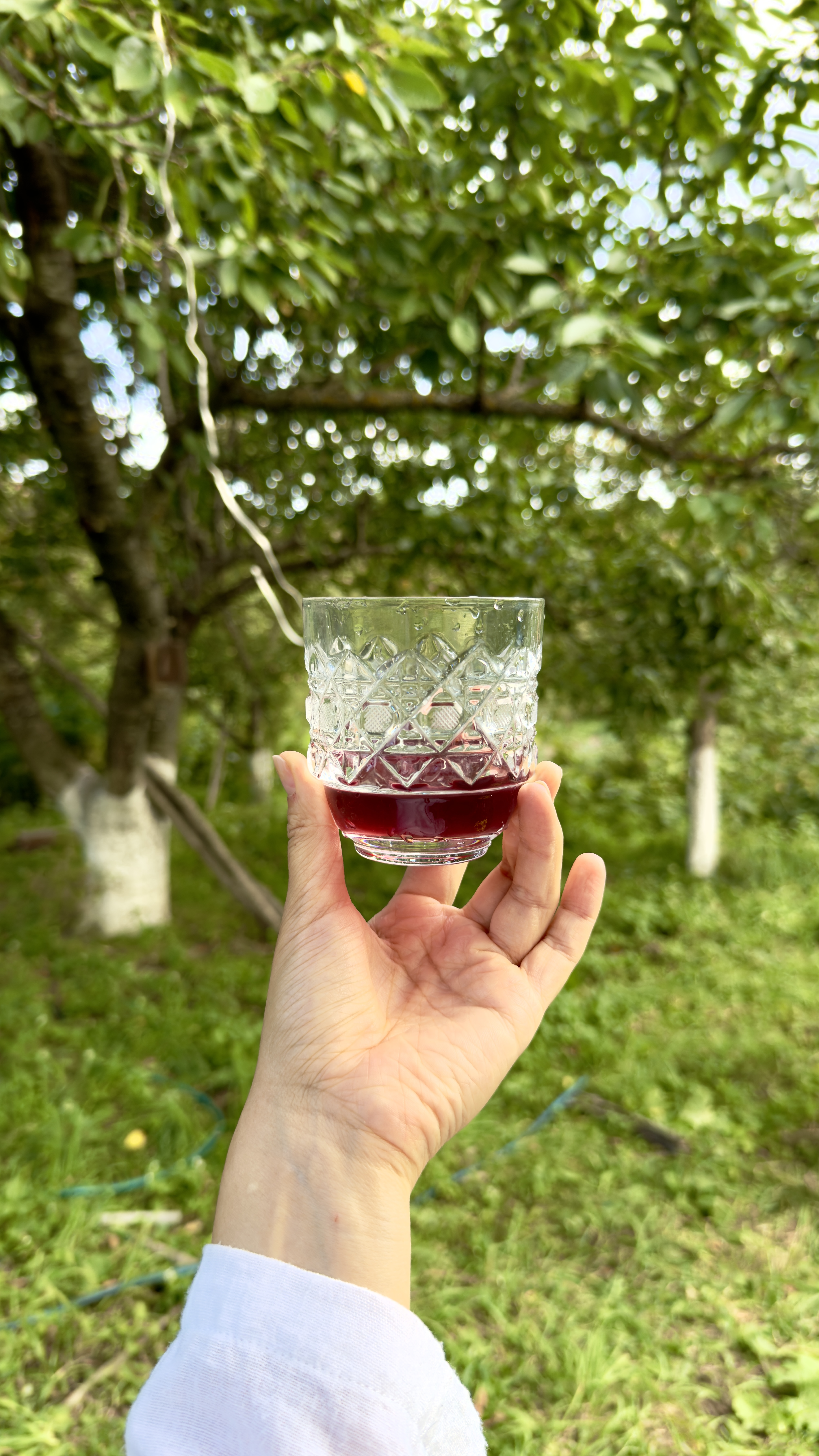 Этнотур Земли Дарго, в гости к даргинской семье (19/24)