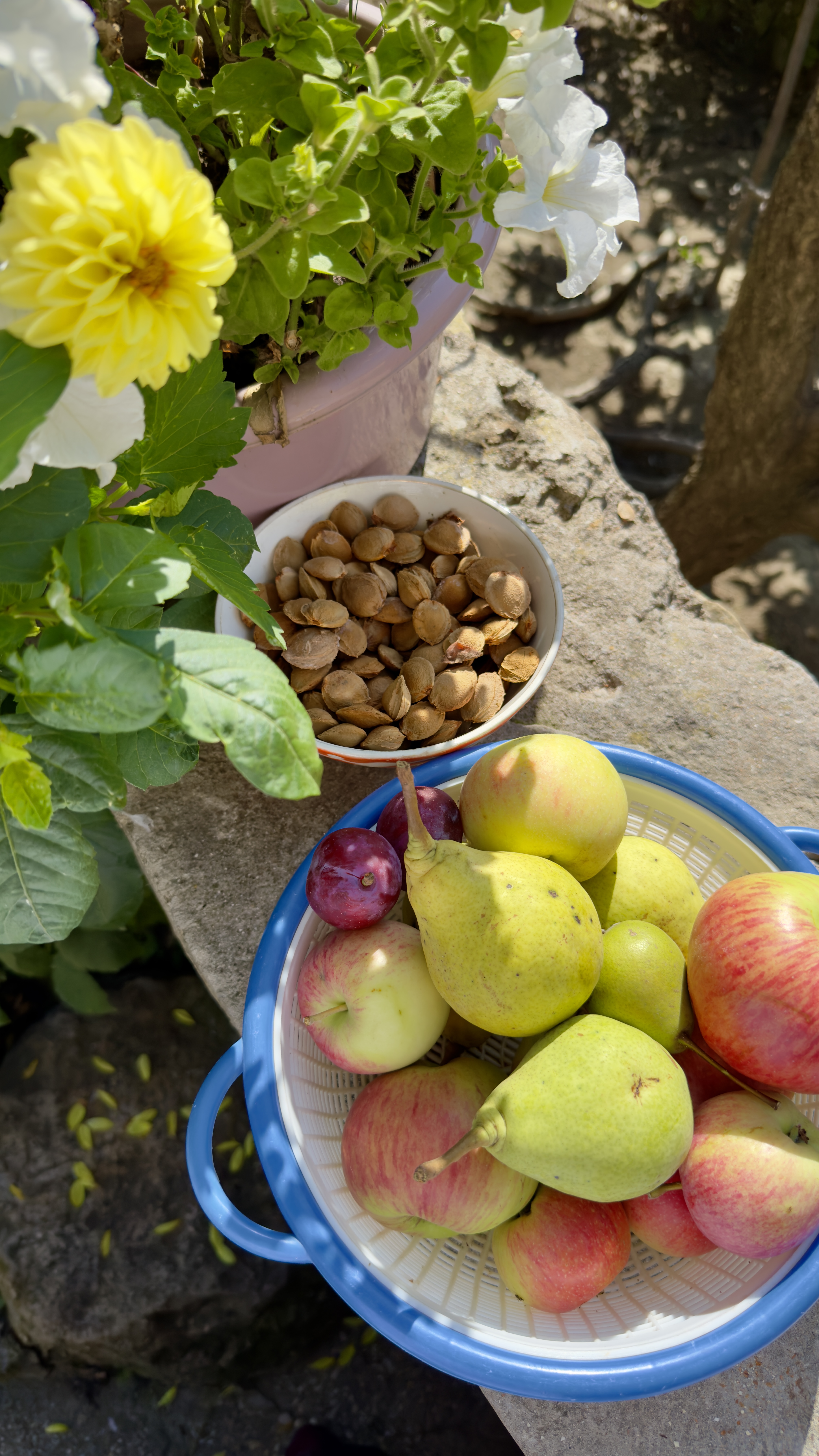 Этнотур Земли Дарго, в гости к даргинской семье (15/24)
