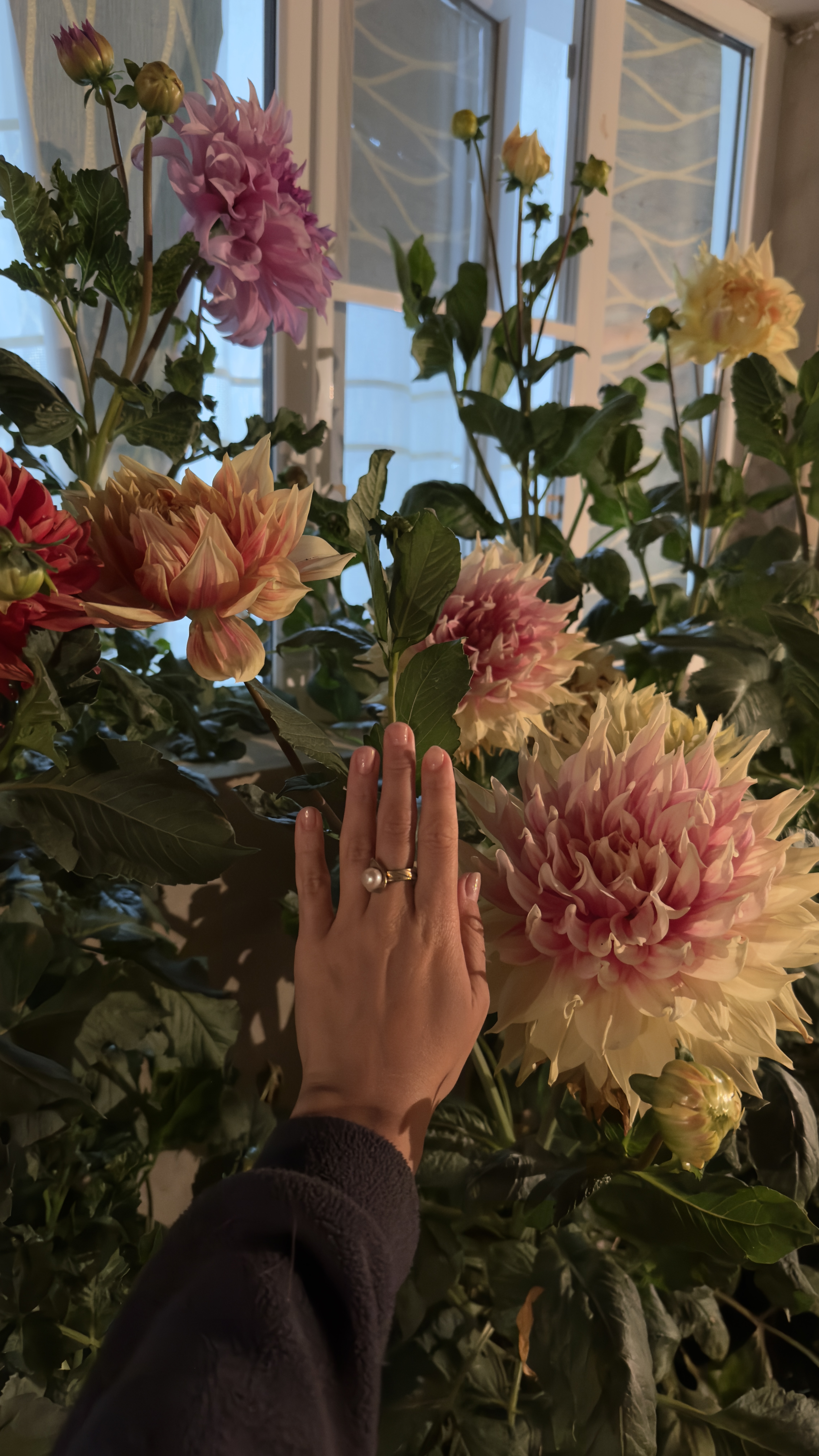 Этнотур Земли Дарго, в гости к даргинской семье (13/24)