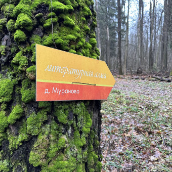 Дорога в Лавру с проживанием в домиках, Московская область (11/15)