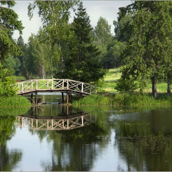 Дорога в Лавру с проживанием в домиках, Московская область (4/15)