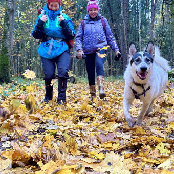 Дорога в Лавру с проживанием в домиках, Московская область (8/15)