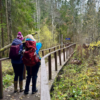 Дорога в Лавру с проживанием в домиках, Московская область (9/15)