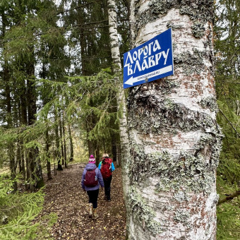 Дорога в Лавру с проживанием в домиках, Московская область (13/15)