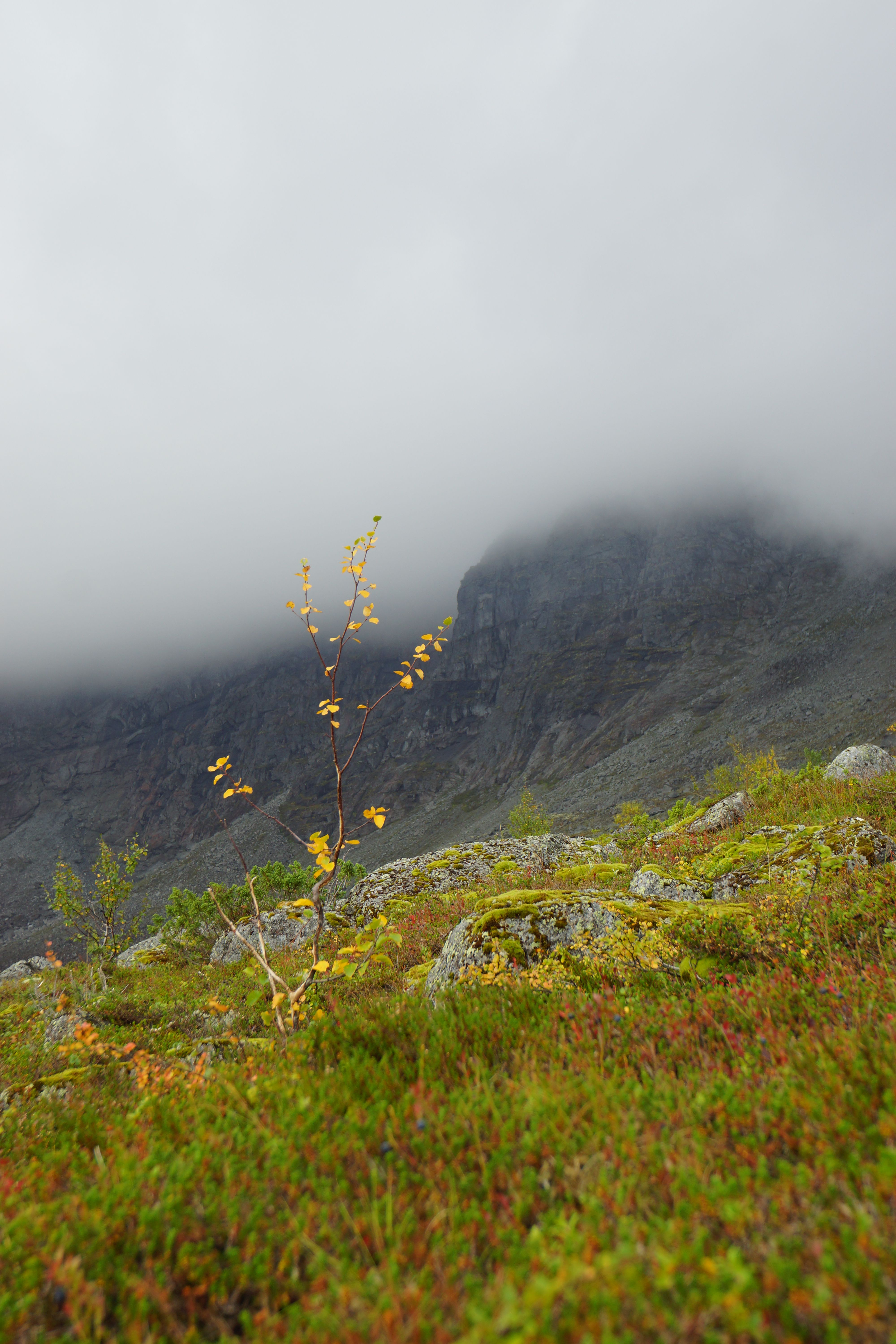 Край северных морей (5/10)