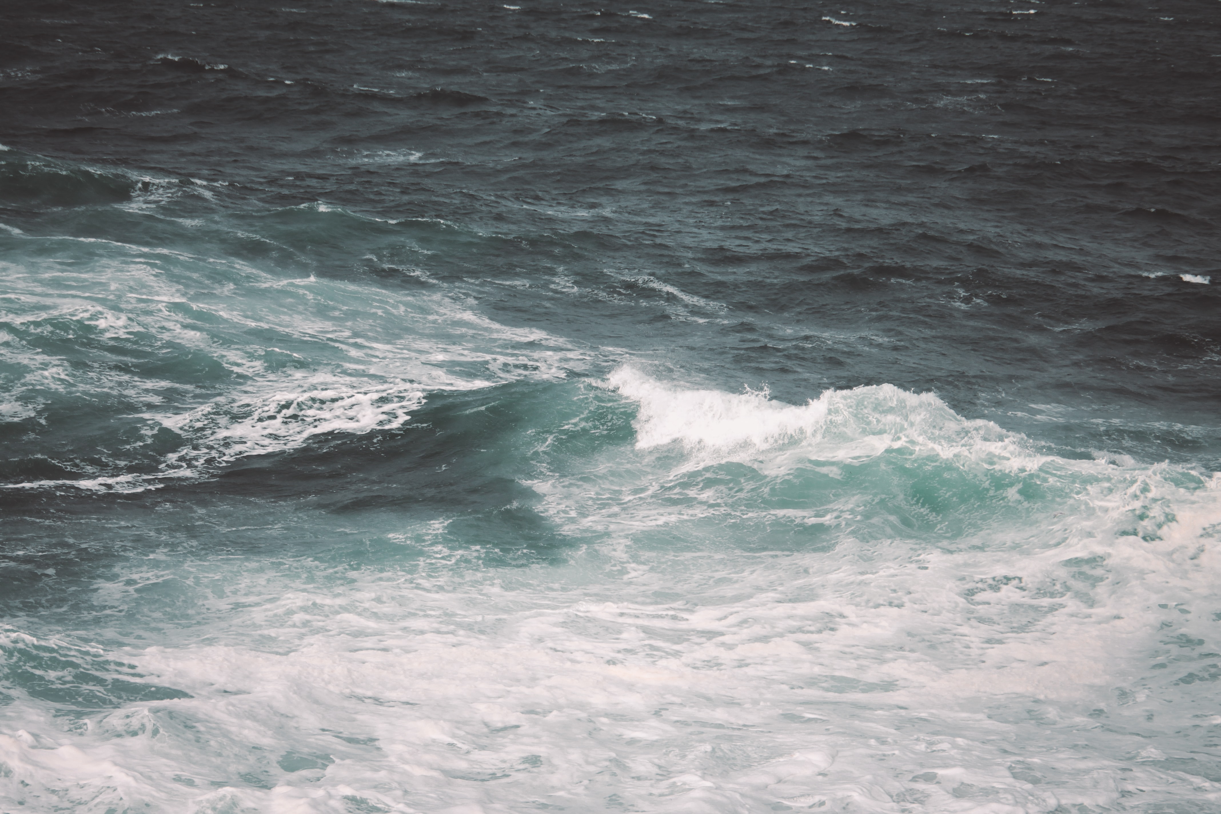 Край северных морей