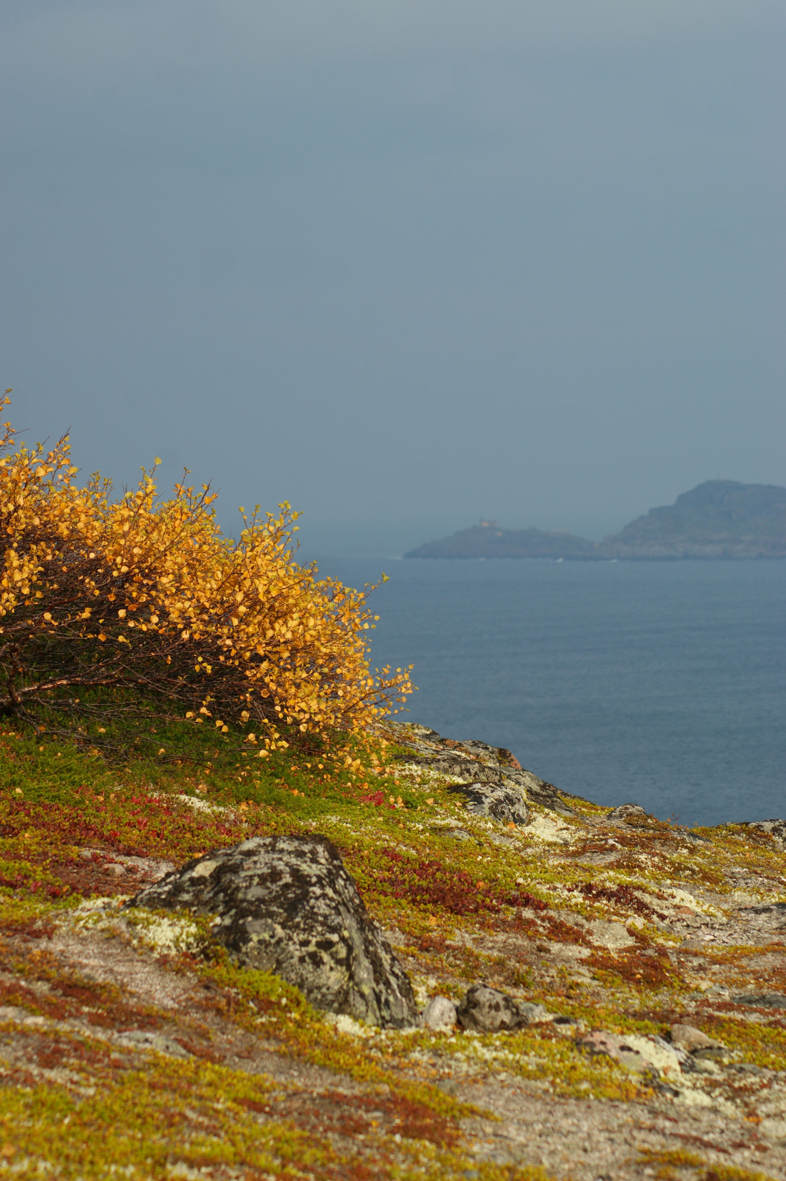 Край северных морей (8/10)