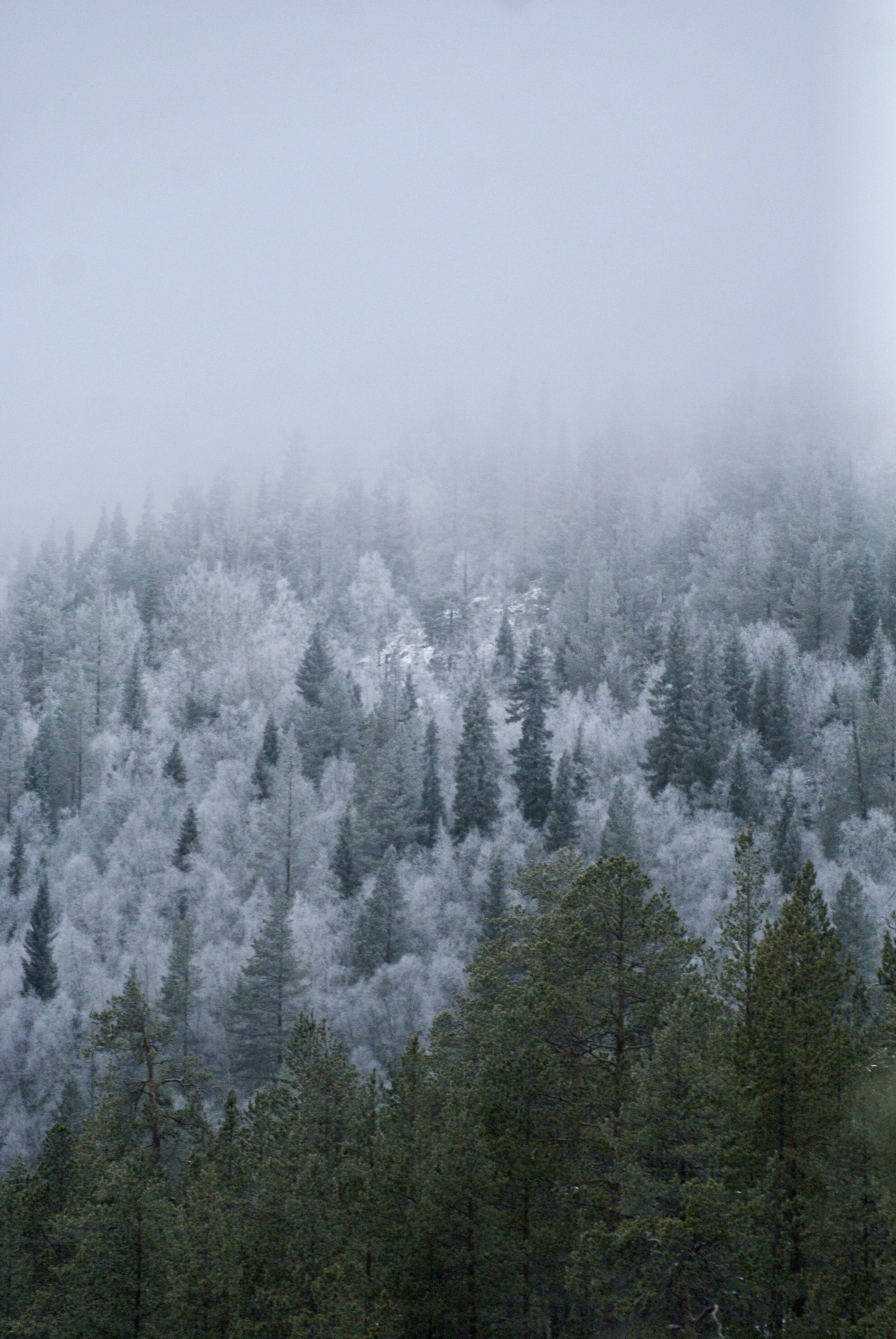 Край северных морей (4/10)