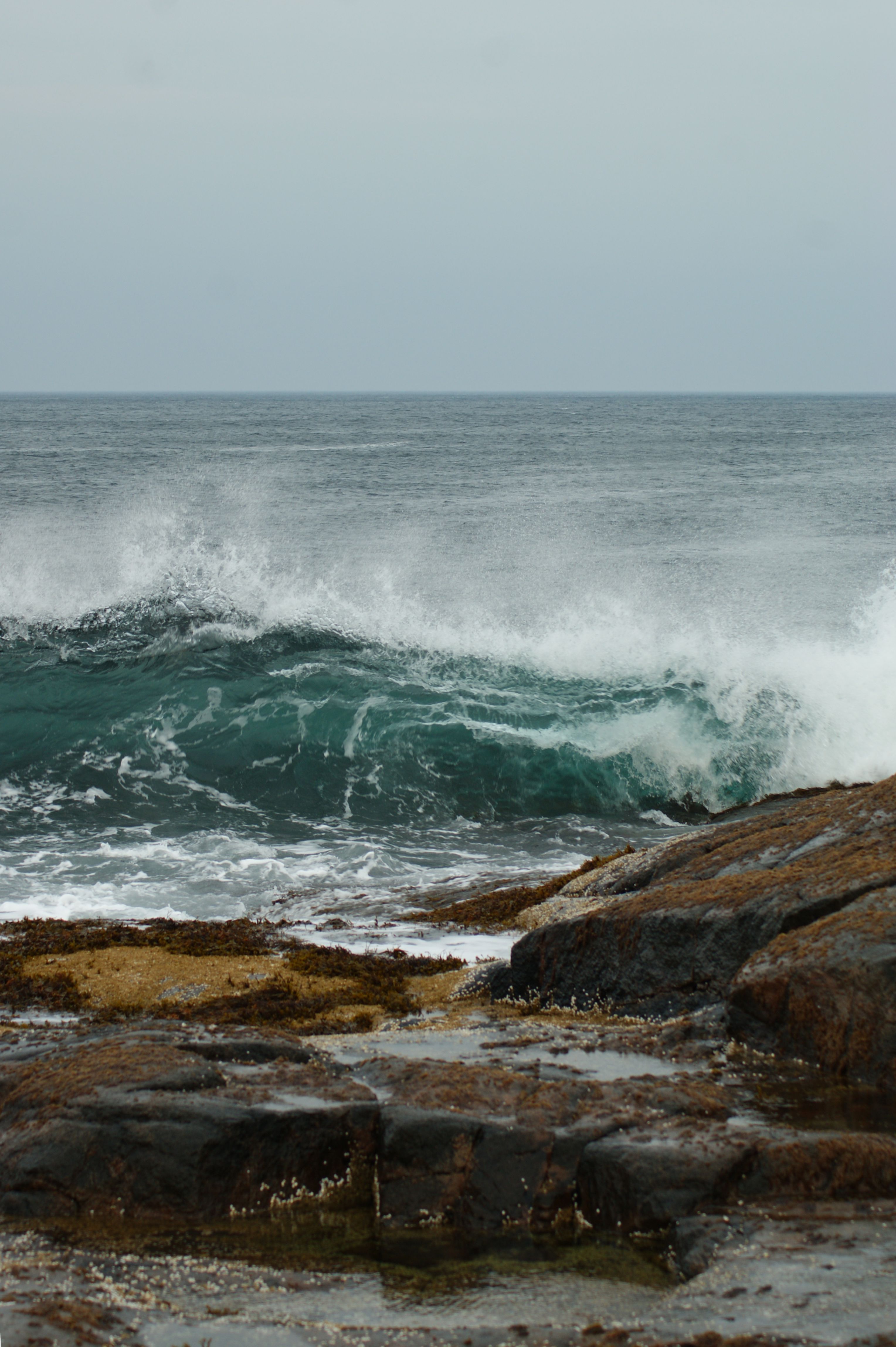 Край северных морей (10/10)