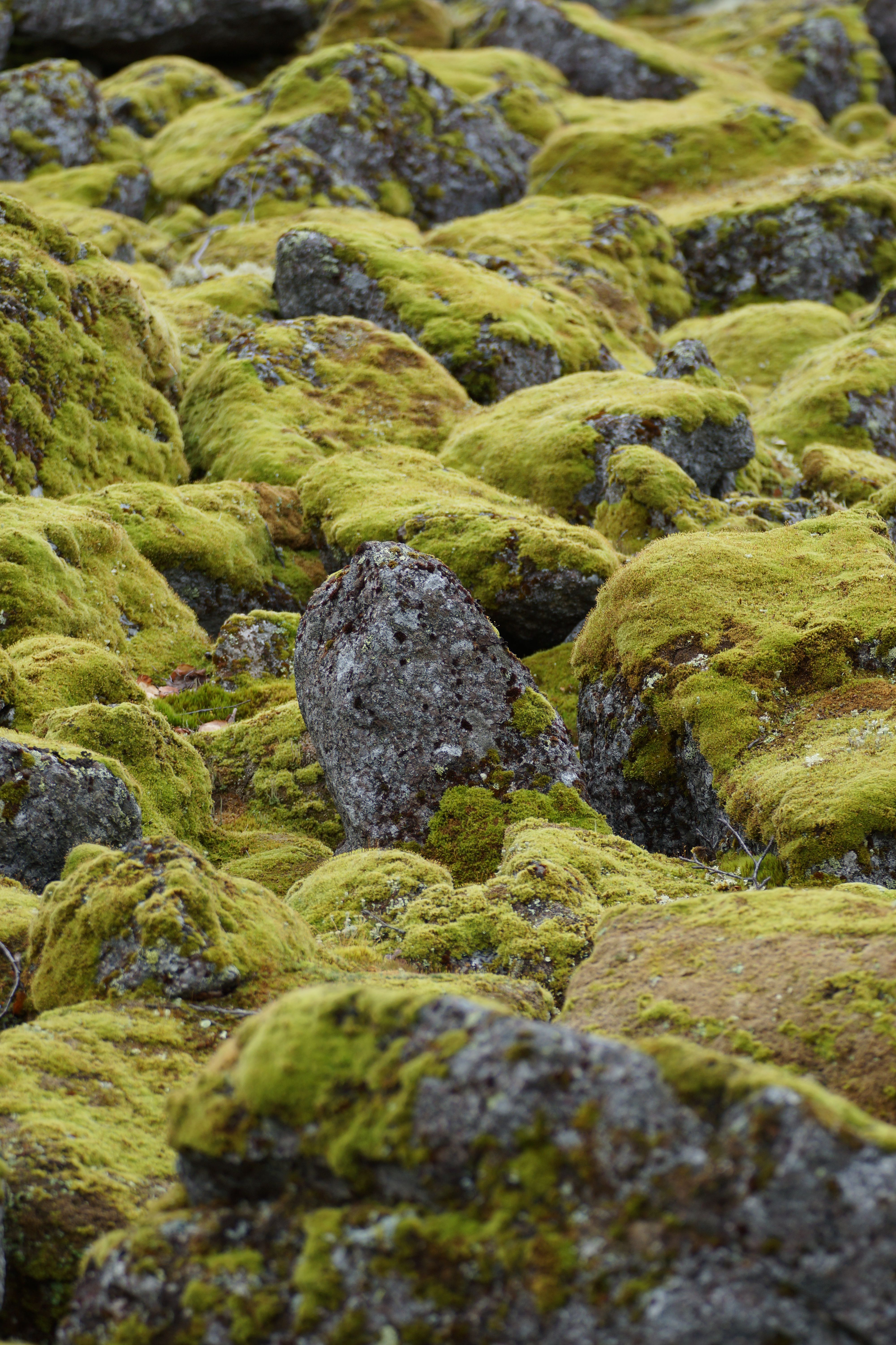 Край северных морей (7/10)