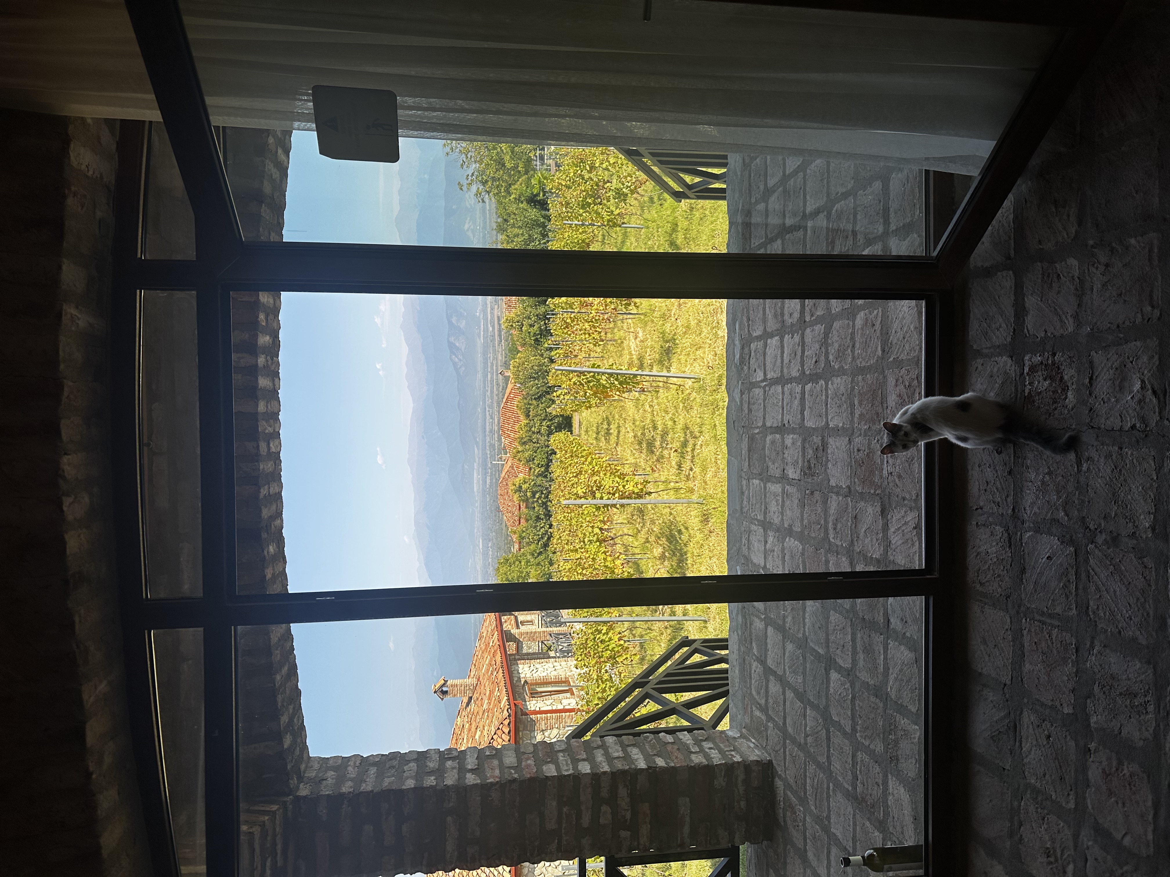 Ртвели! Винное спа - Тбилиси, Казбеги, Кахетия. Лучший гид грузии! (21/30)