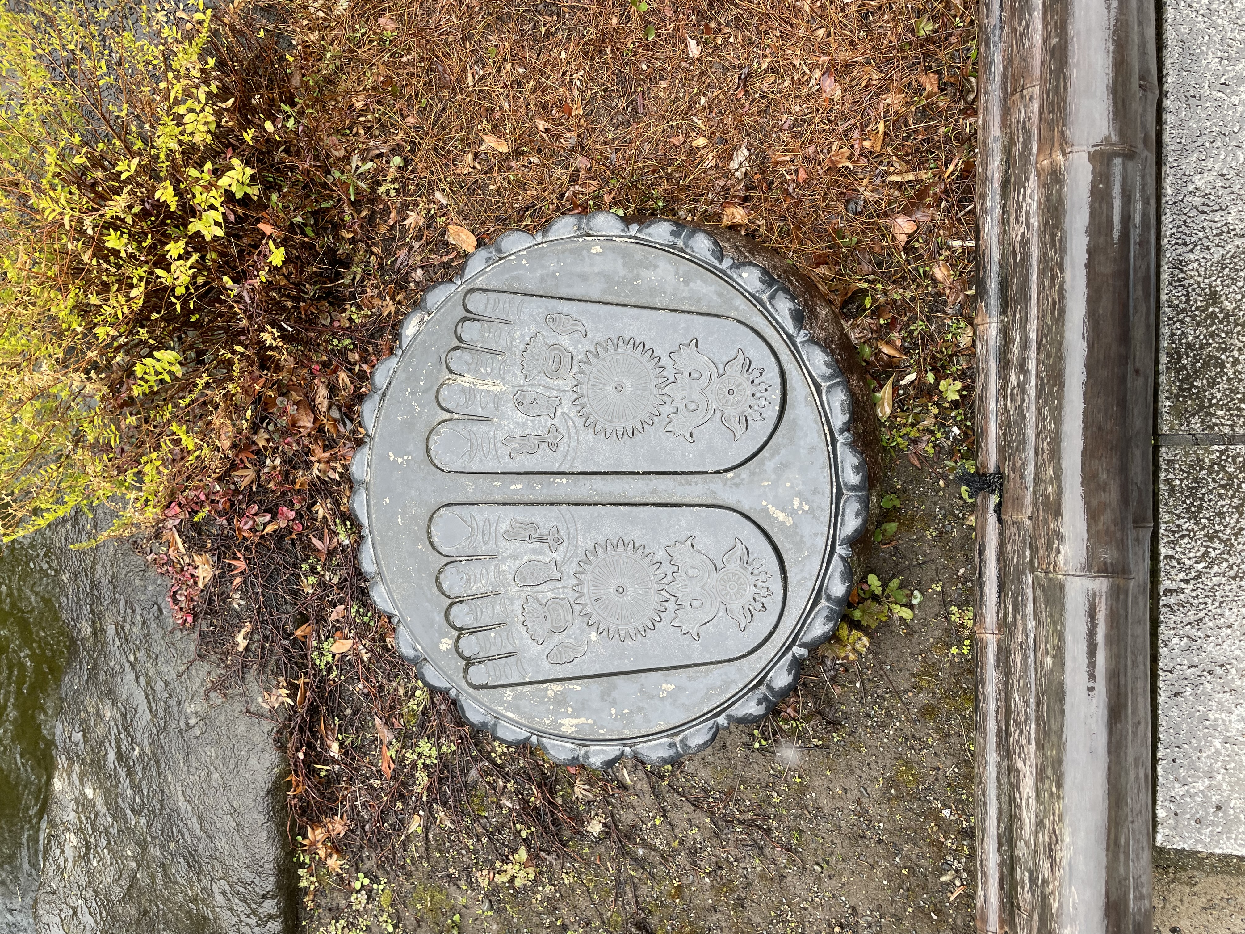 Новогодние каникулы в Японии:  5 городов, гора Фудзи (26/35)