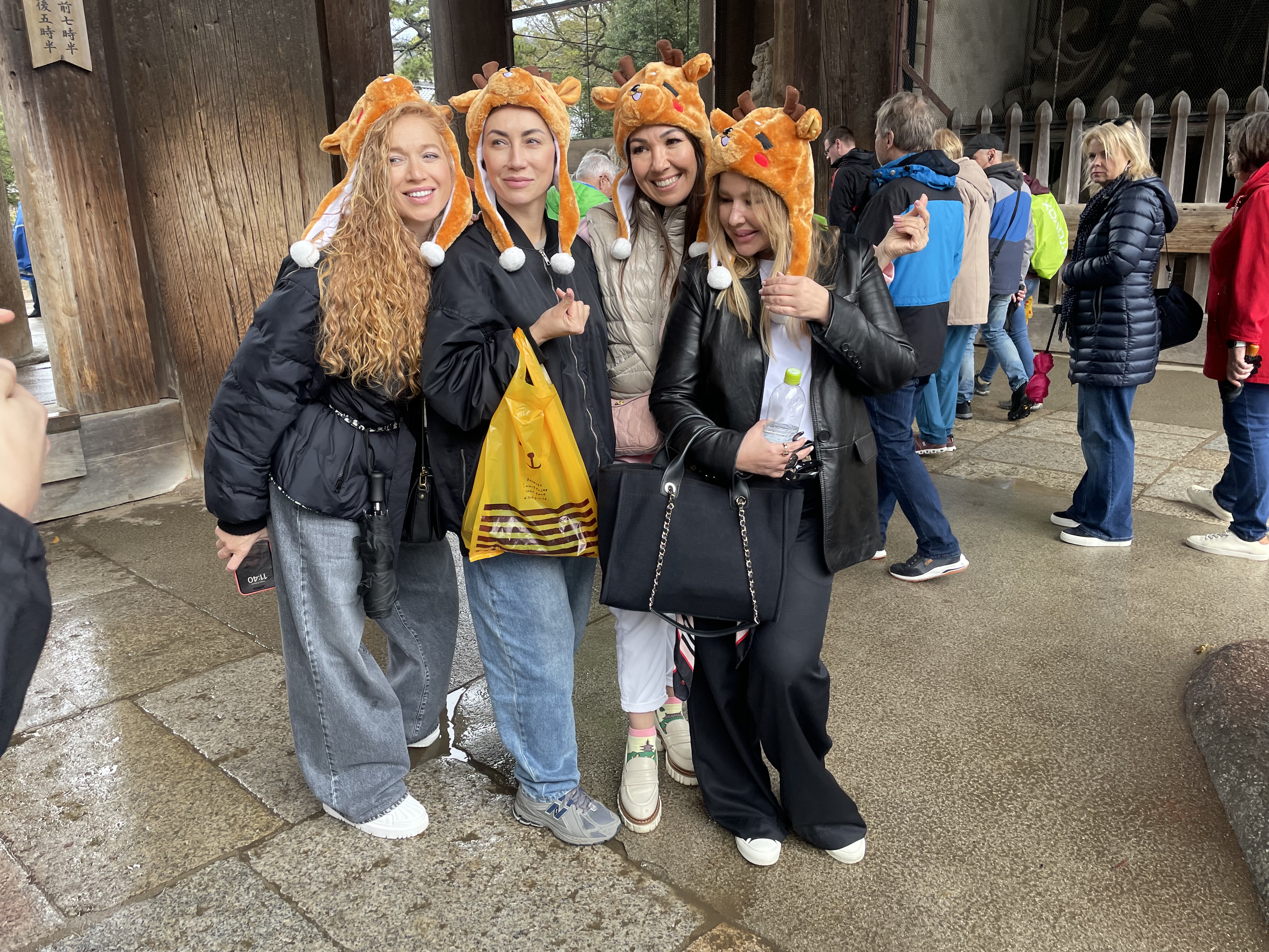 Новогодние каникулы в Японии:  5 городов, гора Фудзи (25/35)