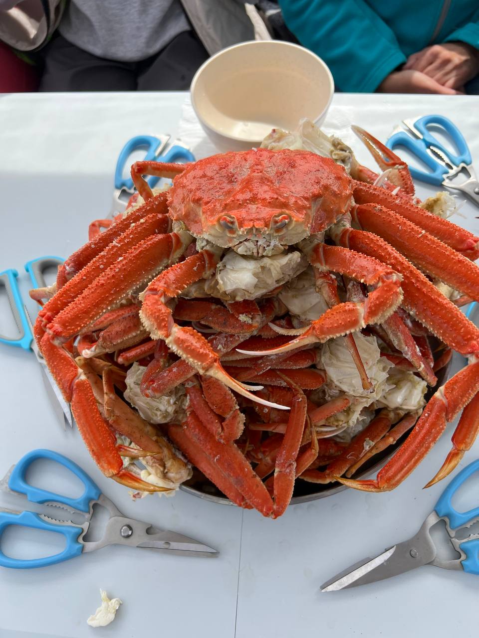 Камчатка с комфортом - приключение, которое перевернет вашу жизнь (36/63)