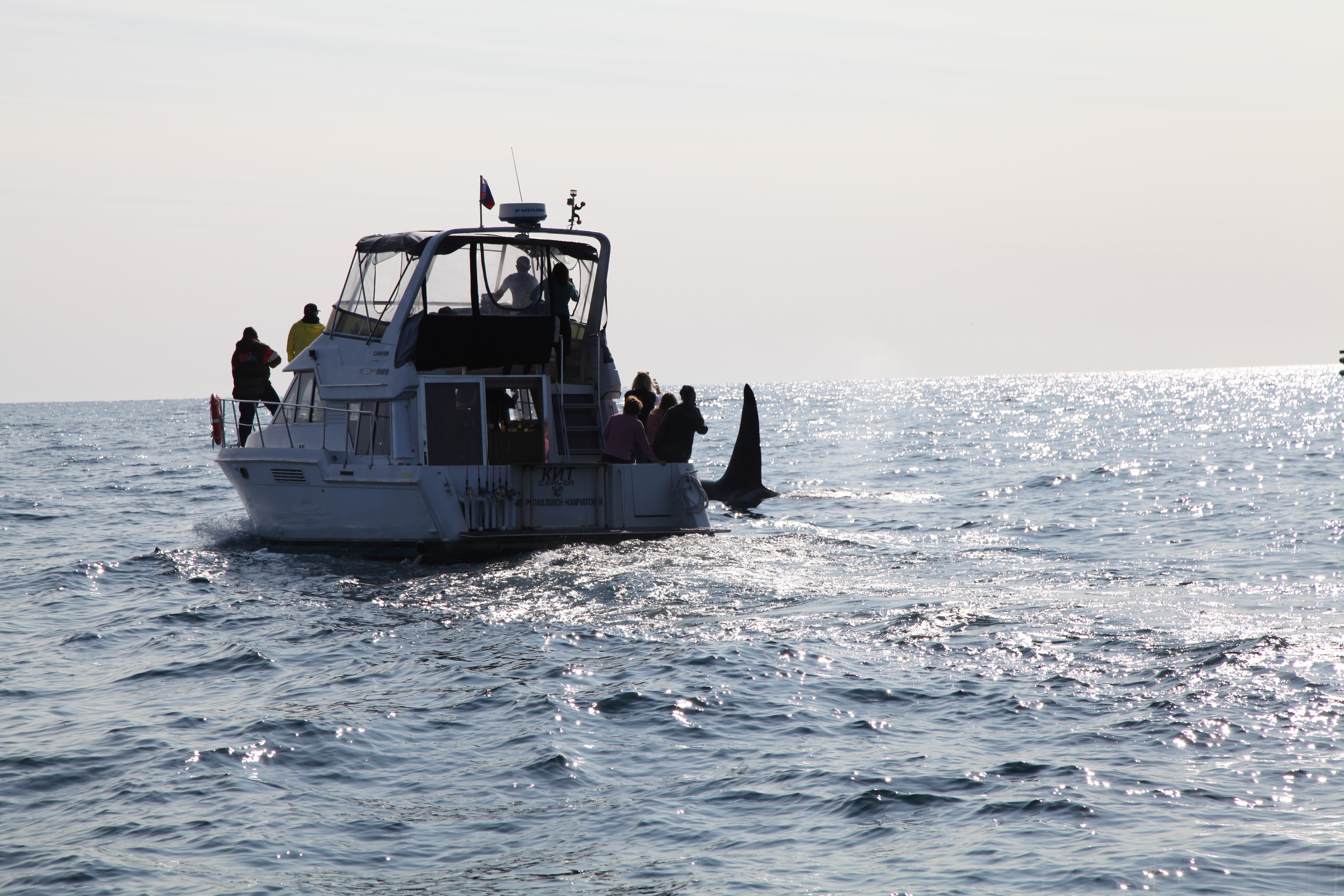 Камчатка с комфортом - приключение, которое перевернет вашу жизнь (33/63)