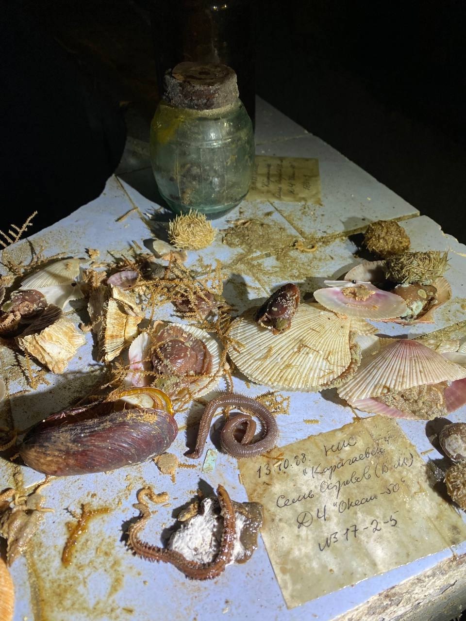 На край земли в Дальние Зеленцы (2/13)