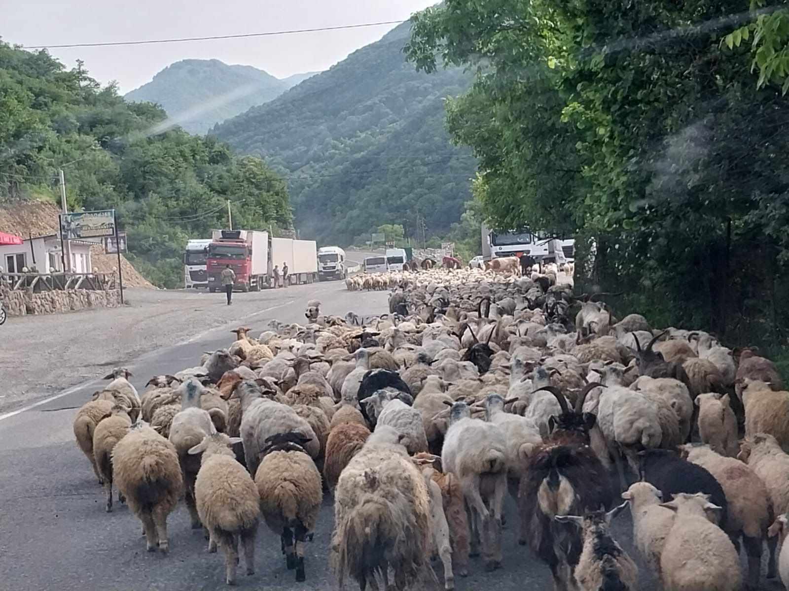 Фантастическая Грузия! 7 дней ярких впечатлений с душевным гидом Сандро (320/420)