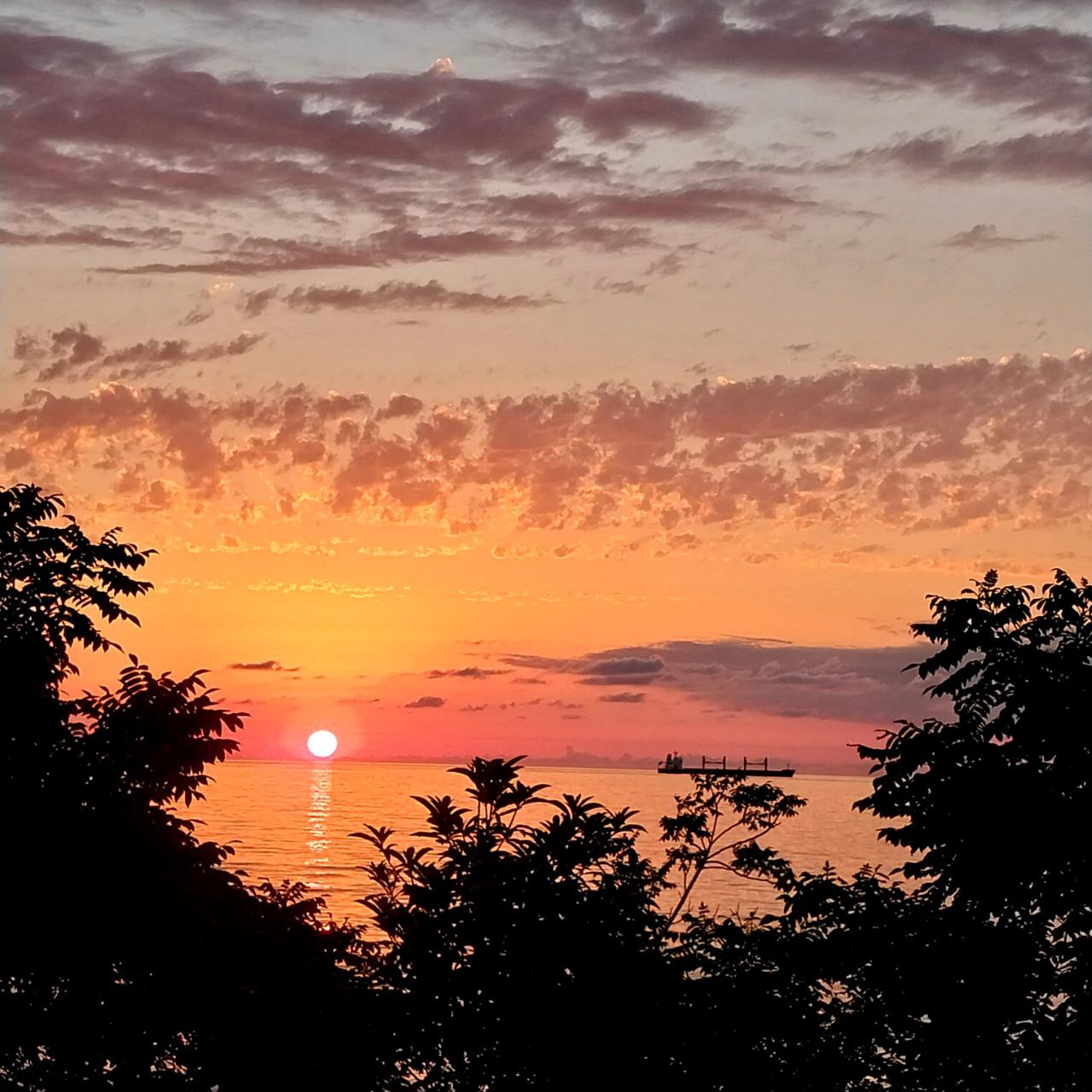 Фантастическая Грузия! 7 дней ярких впечатлений с душевным гидом Сандро (305/420)
