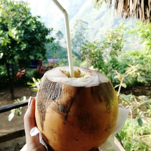 Южная Индия. От моря до гор и обратно (23/45)