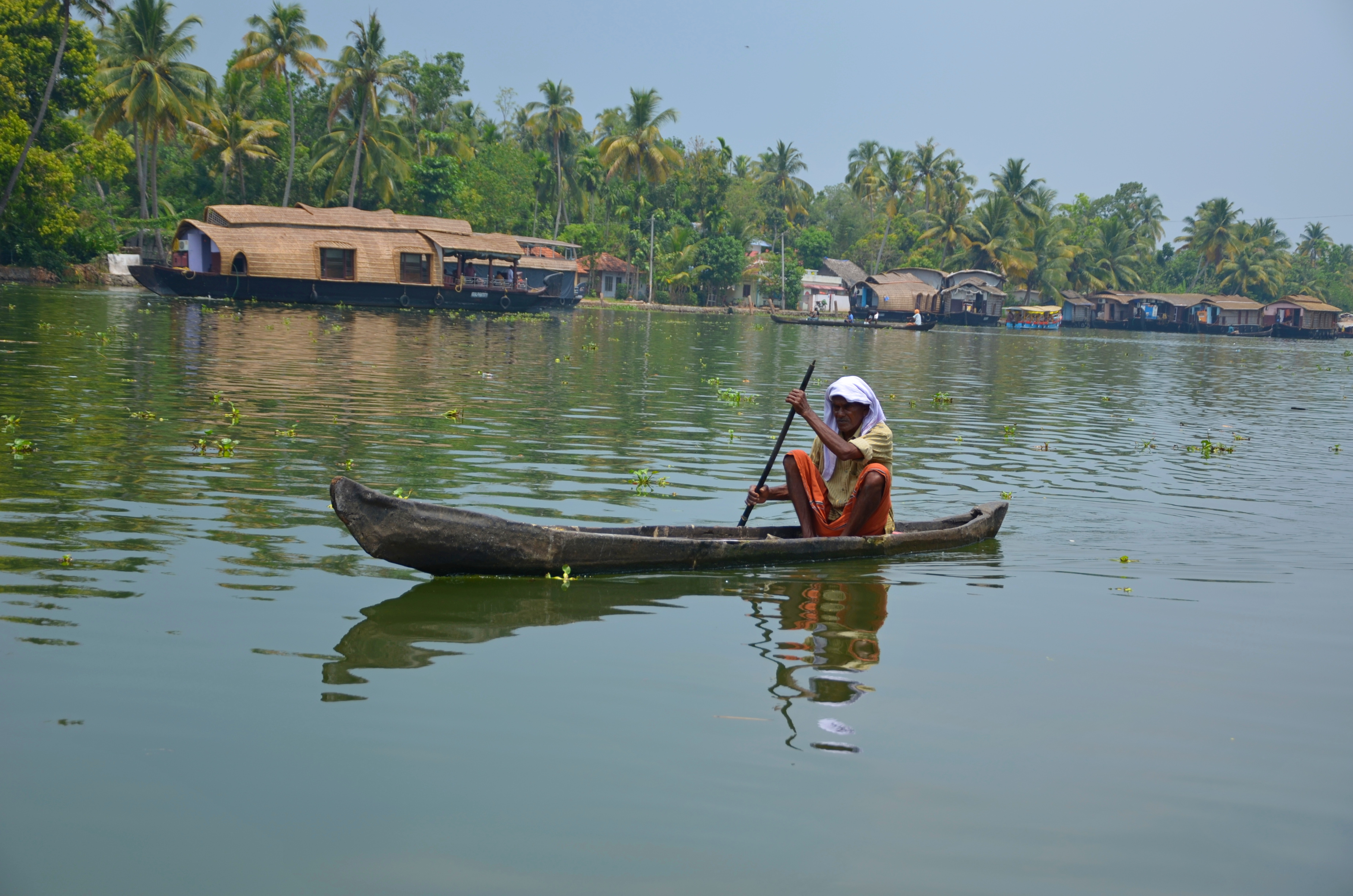 Южная Индия. От моря до гор и обратно (16/45)