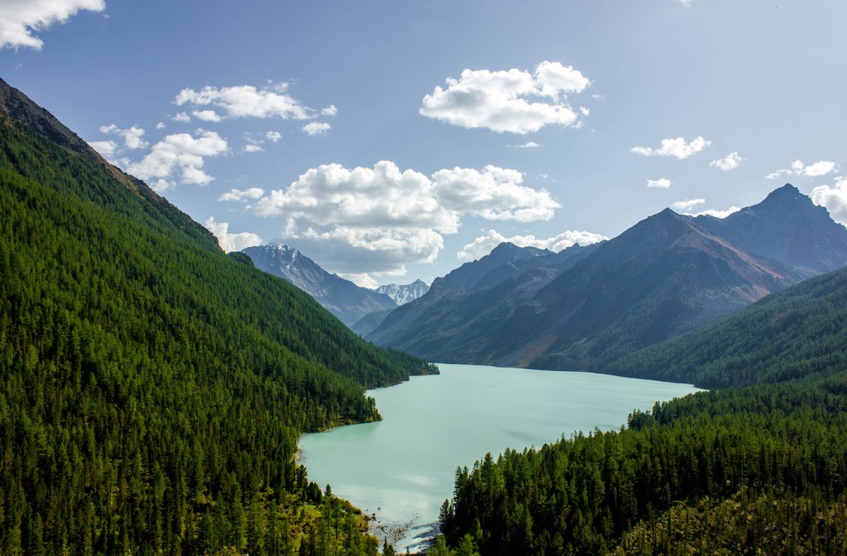 Алтай. Горный треккинг к подножию Белухи (20/55)