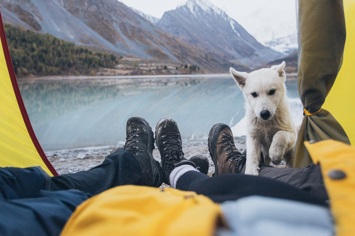 Алтай. Горный треккинг к подножию Белухи (11/55)