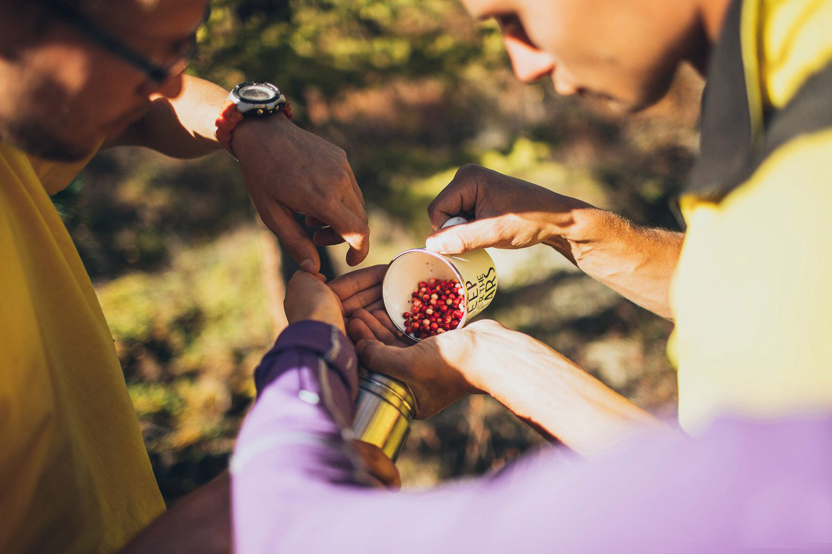 Алтай. Горный треккинг к подножию Белухи (6/55)