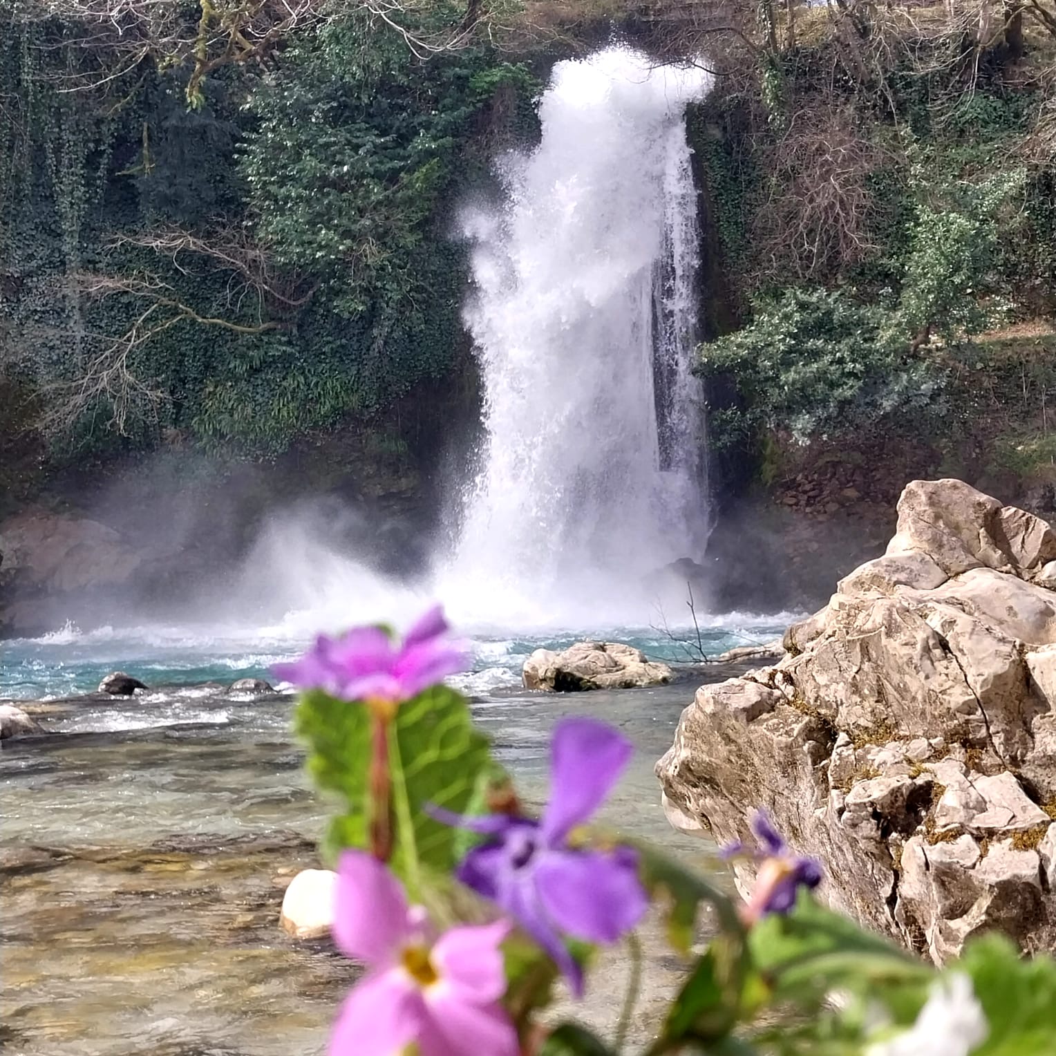Фантастическая Грузия! 7 дней ярких впечатлений с душевным гидом Сандро (328/420)