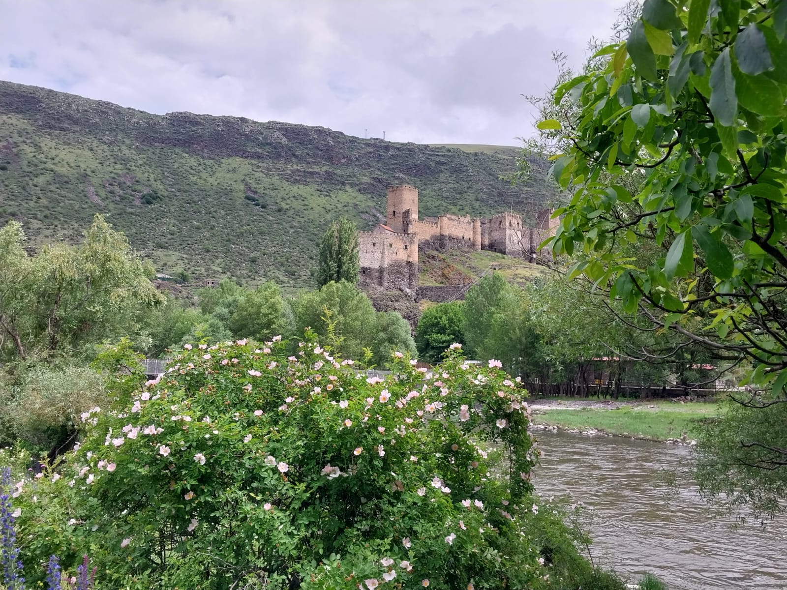 Фантастическая Грузия! 7 дней ярких впечатлений с душевным гидом Сандро (351/420)