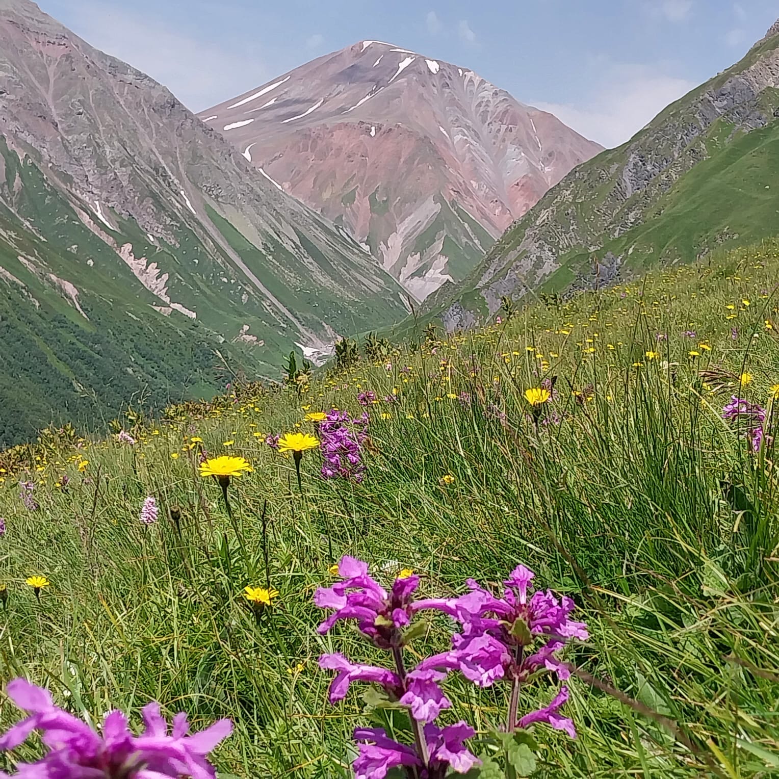 Фантастическая Грузия! 7 дней ярких впечатлений с душевным гидом Сандро (373/420)
