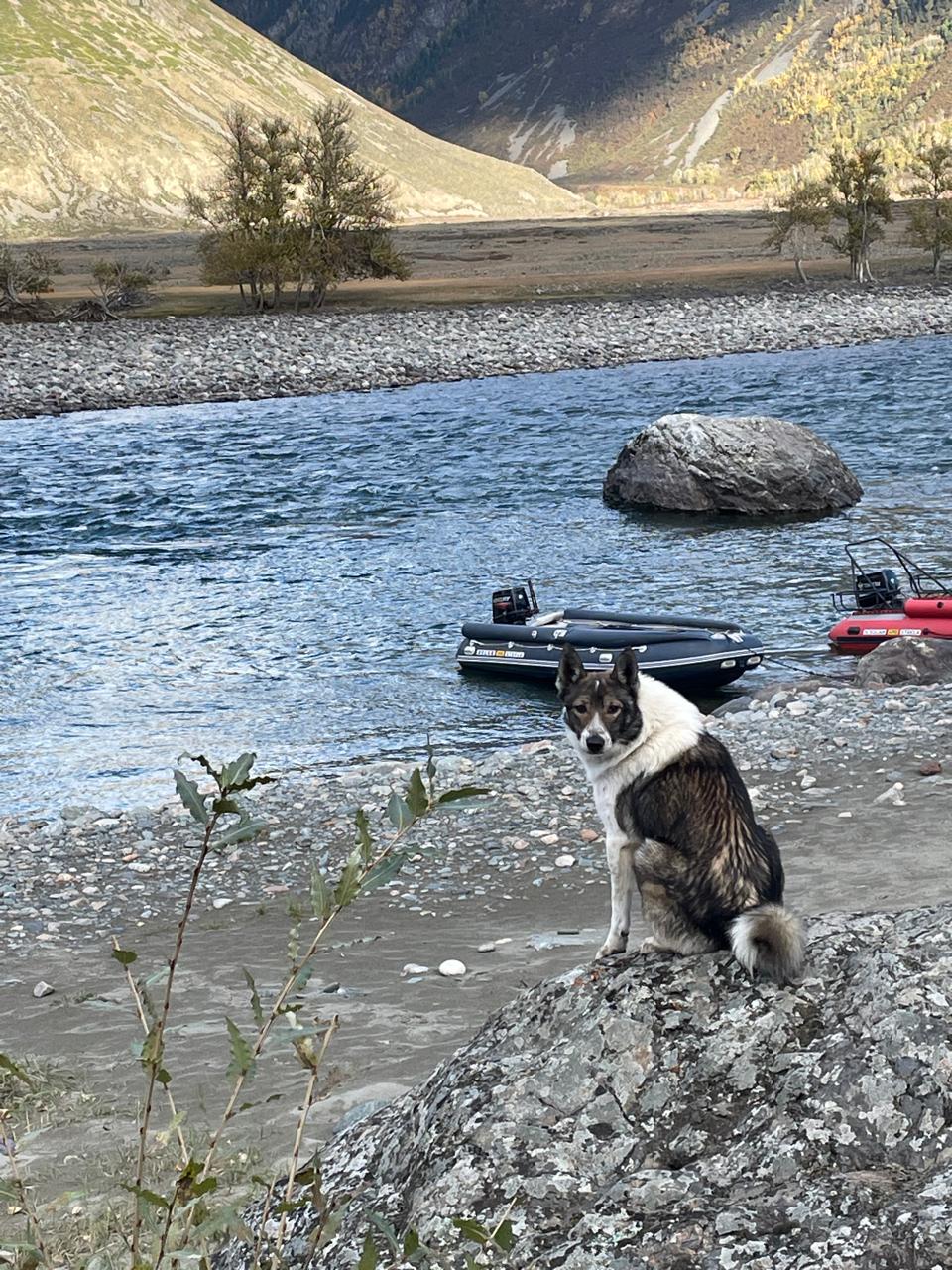 Звуки духов Алтая      New!!! (33/53)