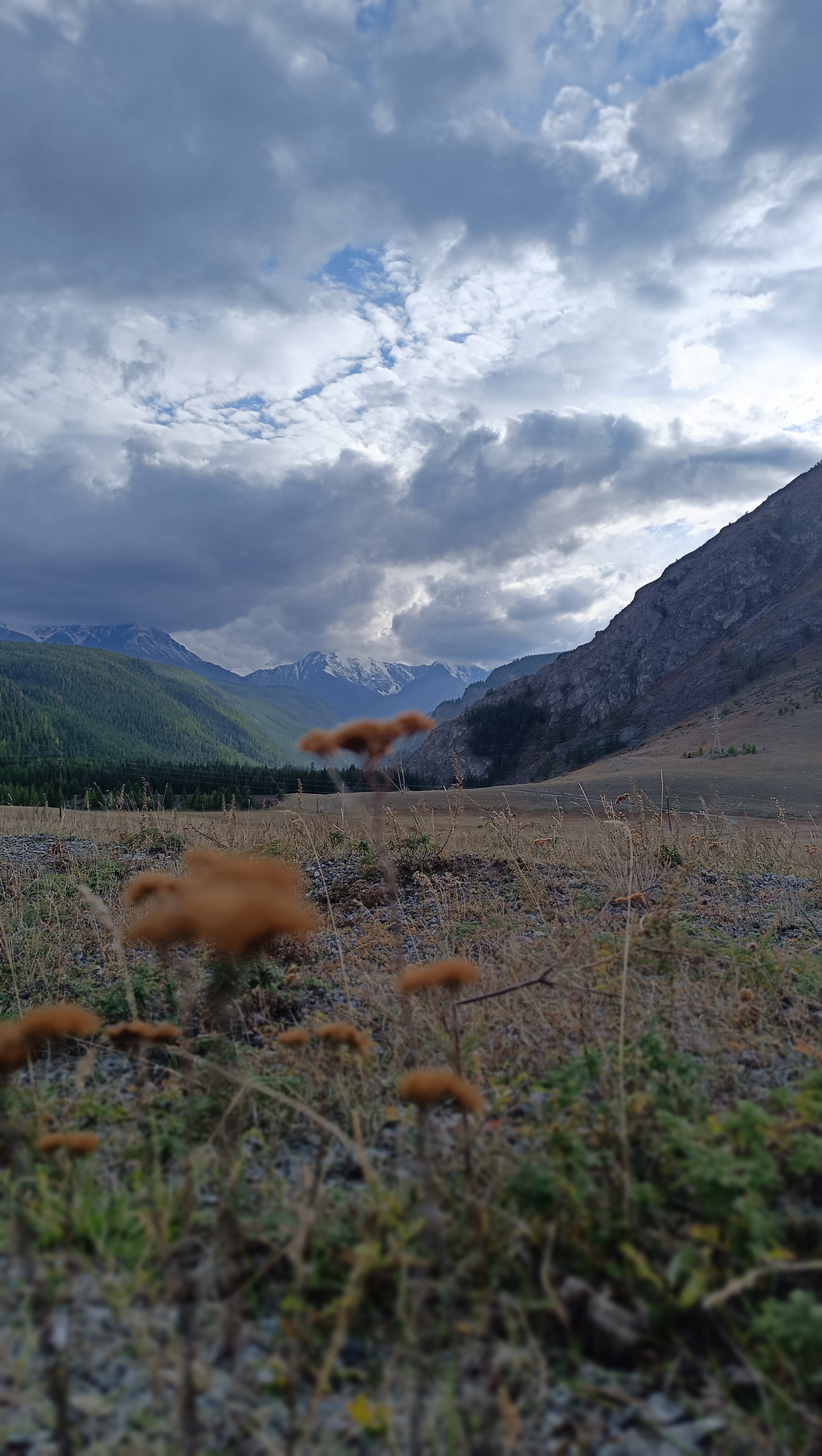 Звуки духов Алтая      New!!! (40/53)