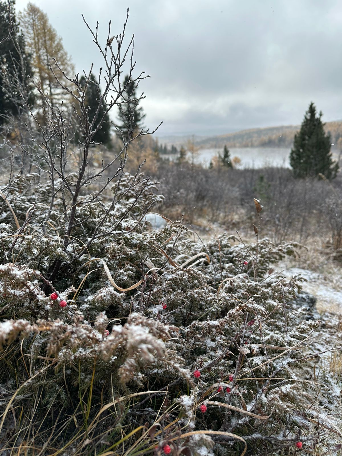 Звуки духов Алтая      New!!! (36/53)