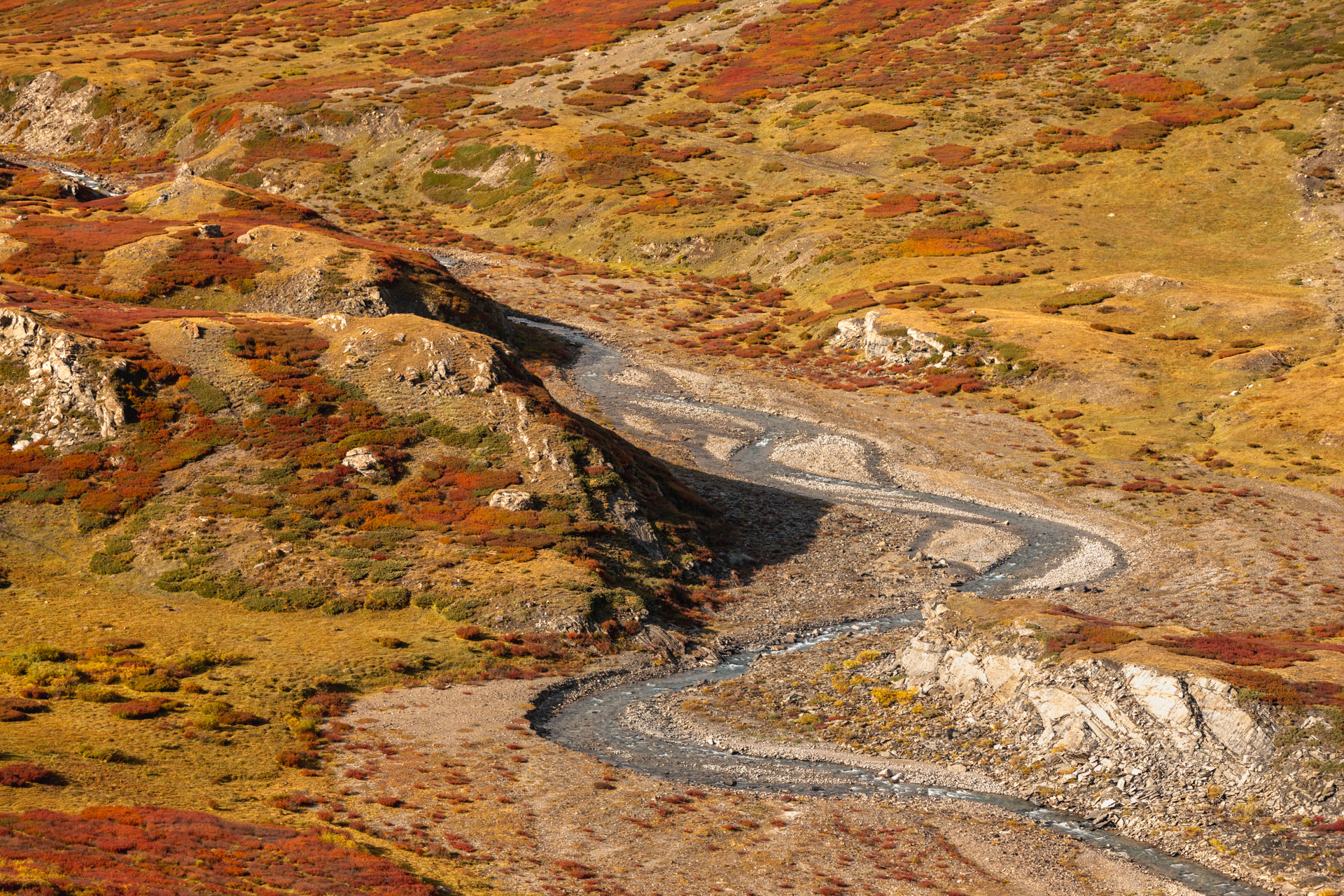 Южно-Чуйские прогулки с фотографом (6/57)
