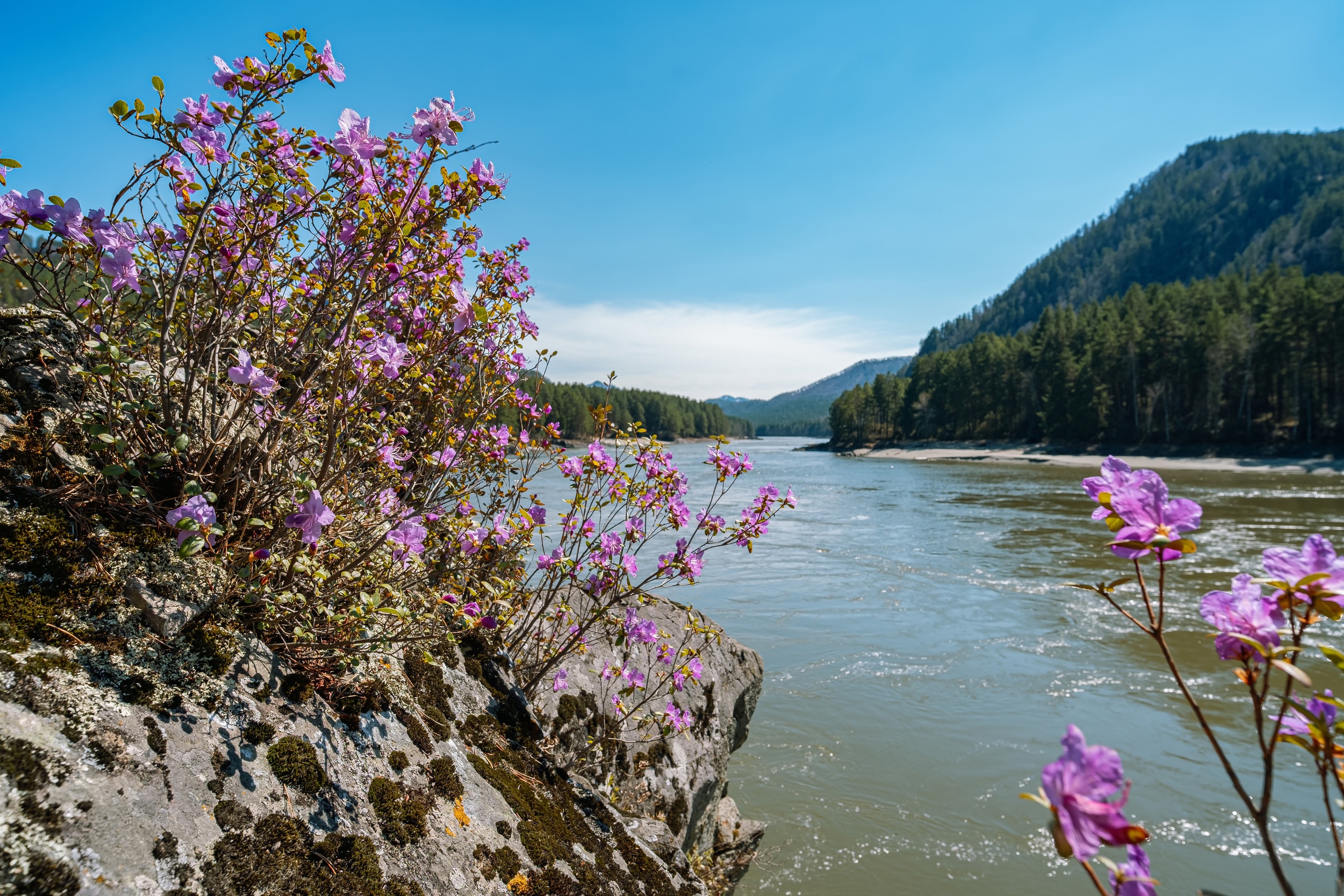 Весенний Алтай: фиолетовые горы и места силы (17/18)