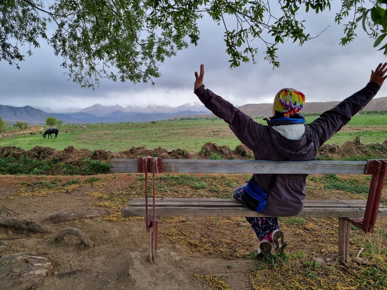 Киргизия - тур весной вокруг Иссык-Куля. Все топ локации страны в одном туре (12/32)