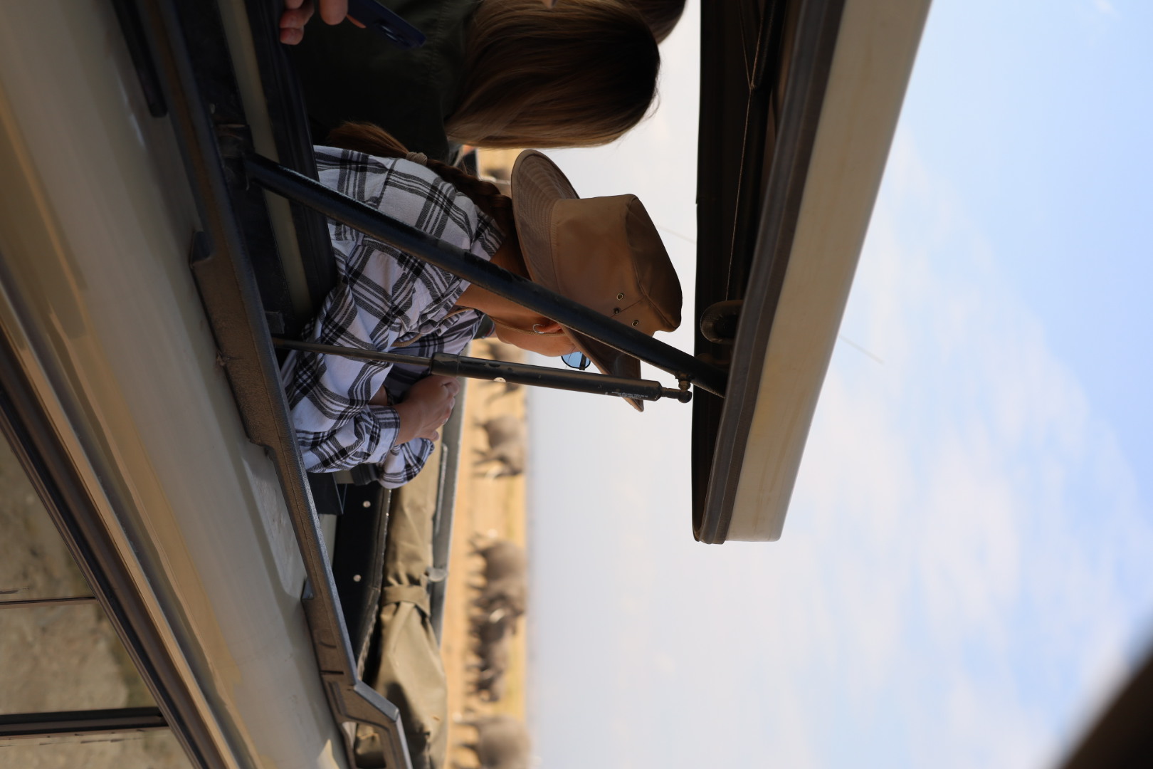 Великая Миграция В Кении 2026 (45/66)