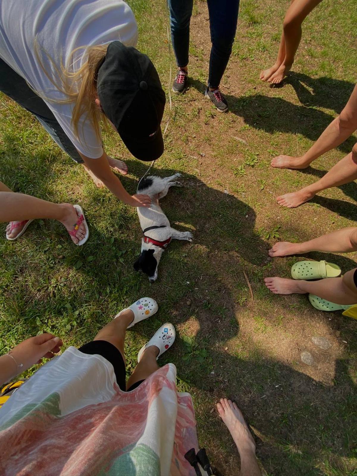 Сап-прогулка по реке Оредеж (13/14)