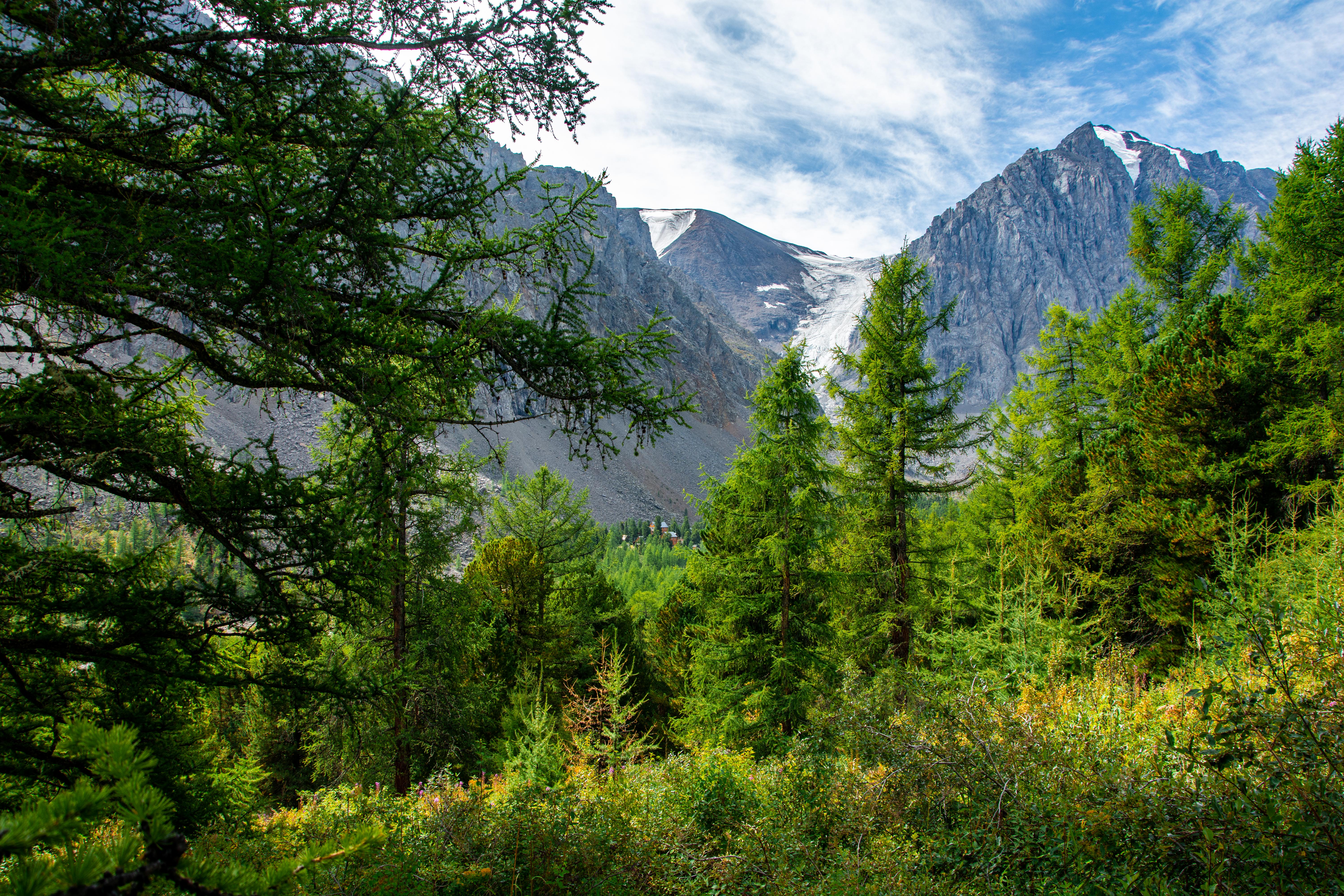 Трекинг в альплагере Актру (15/16)